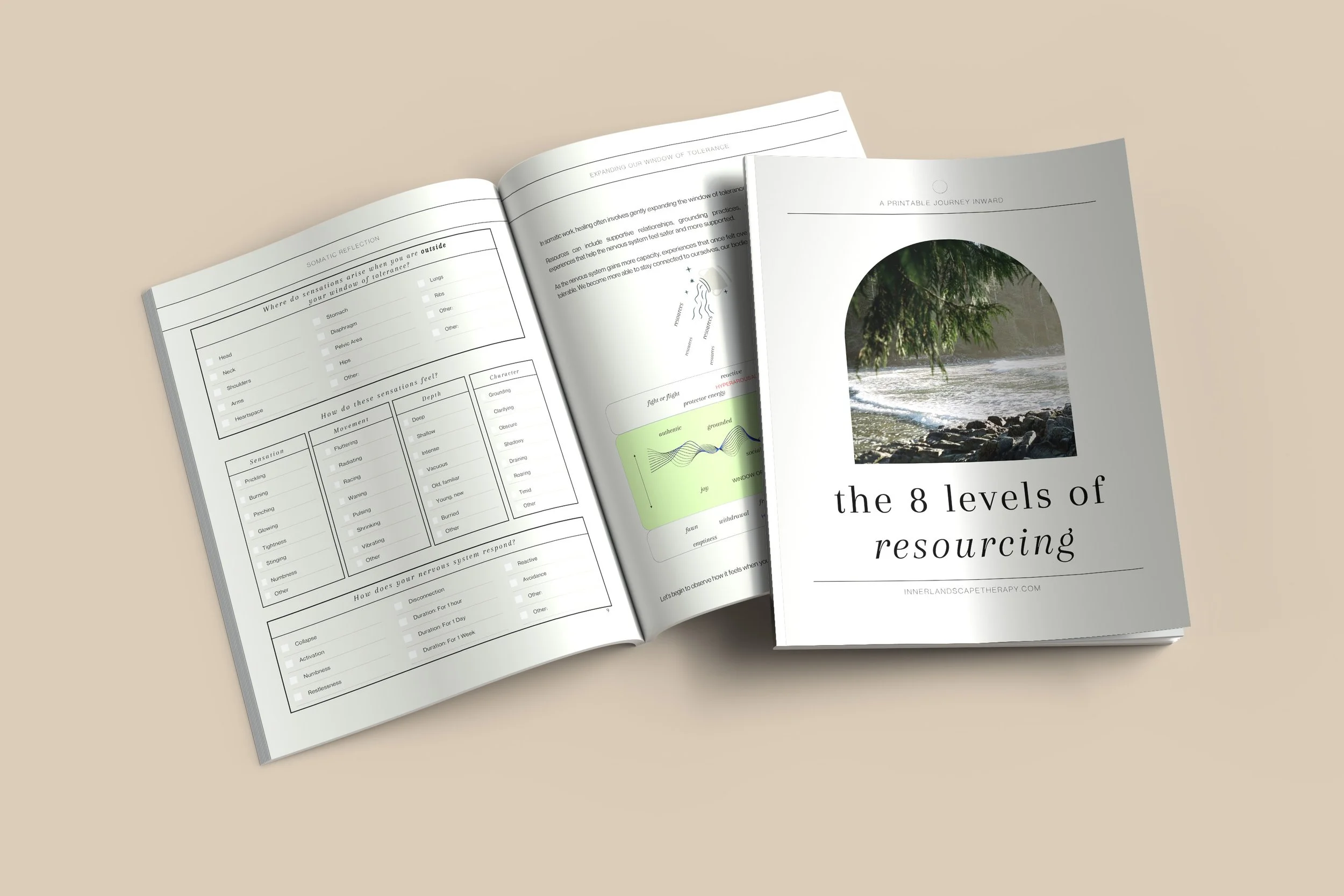 8 Levels of Resourcing Workbook Inside Pages.jpg