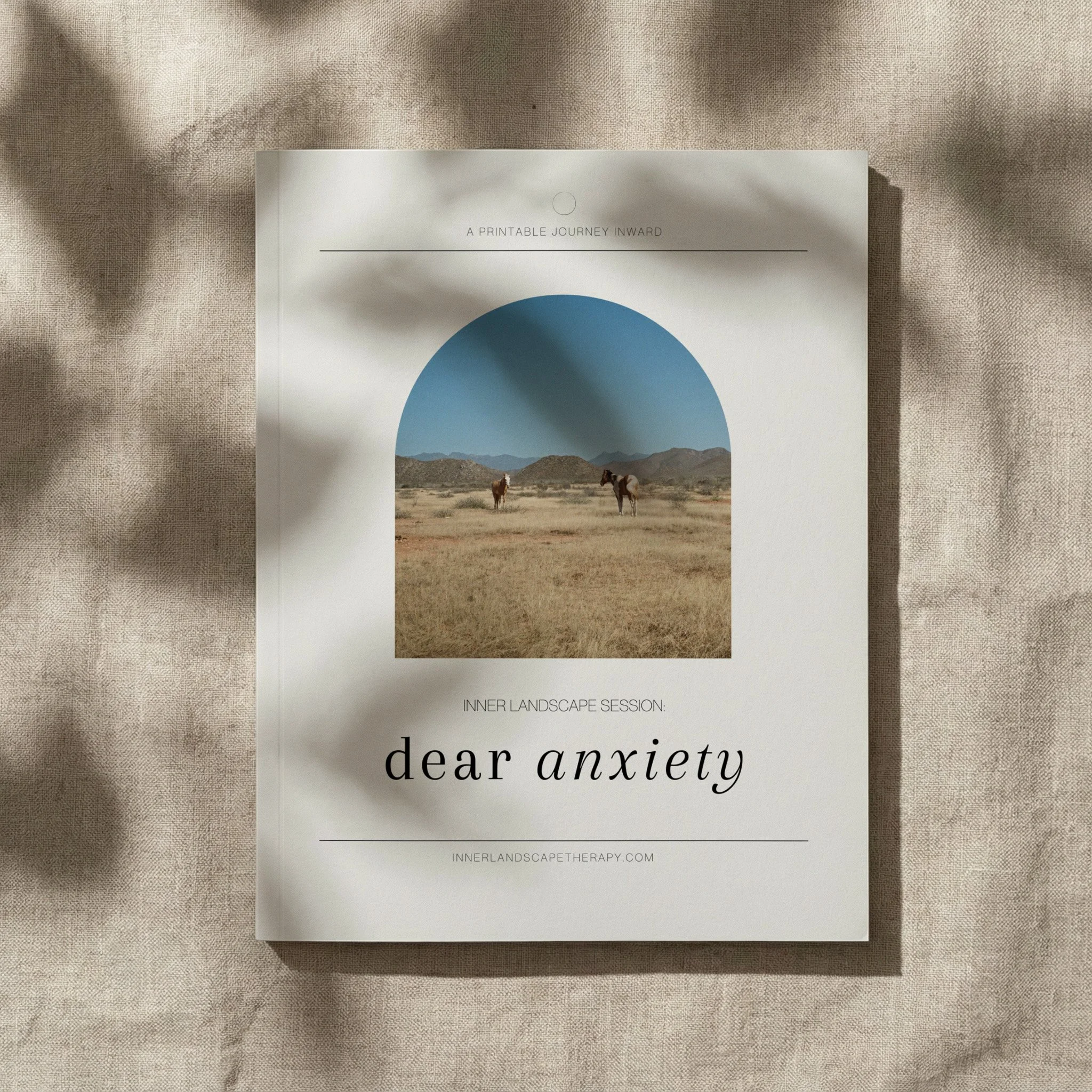 Dear Anxiety ebook