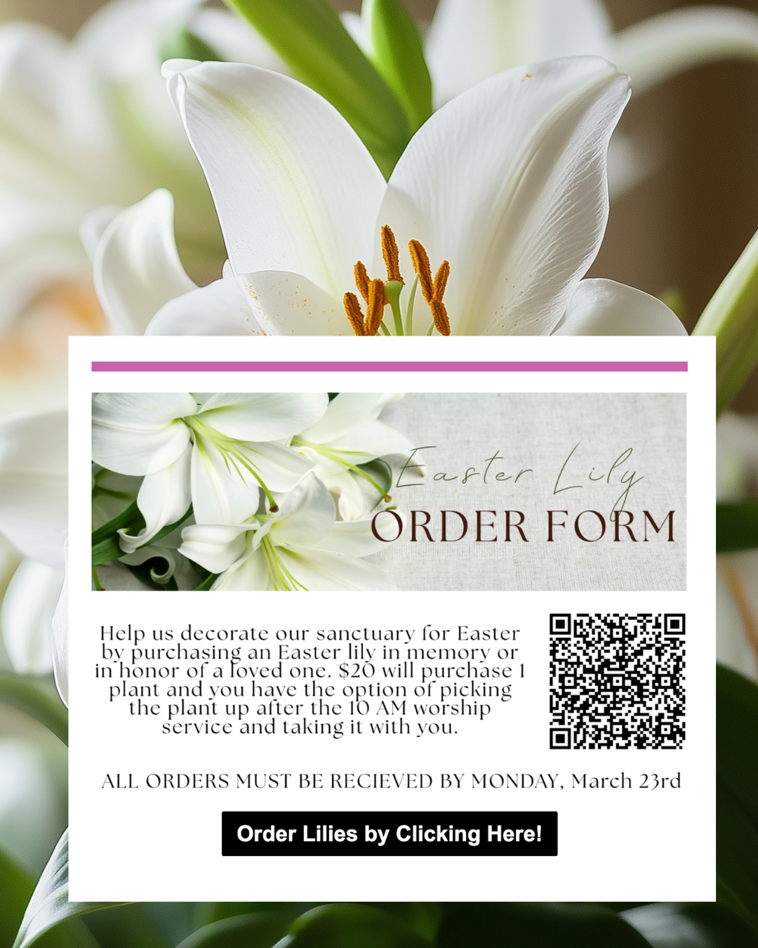 Easter Lily Sale