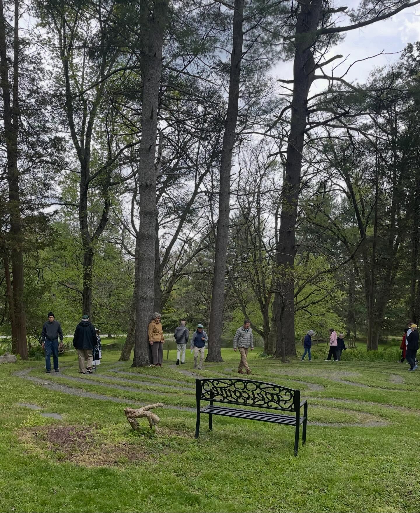 Last Saturday, we joined hearts and footsteps with people around the world for World Labyrinth Day: Walk for Peace.

Together with friends from Kendal Crosslands and our CLS community, we stepped onto the labyrinth path embracing its quiet rhythm and