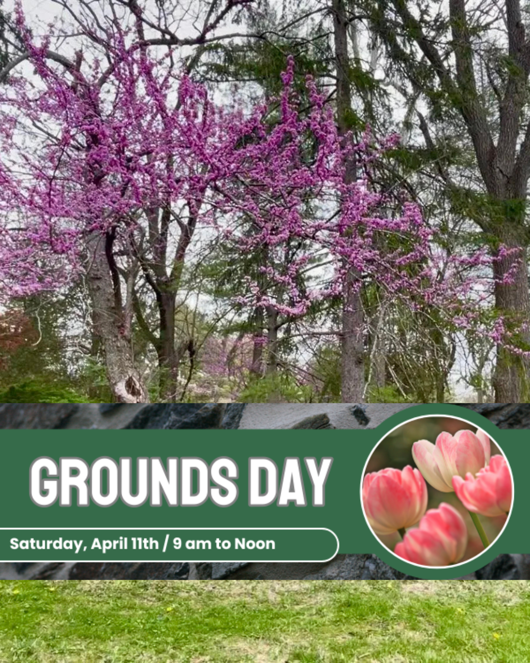 A promotional flyer for Grounds Day event with a background of pink flowering trees, a circular inset of pink tulips, and event details stating it is on Saturday, April 11th from 9 am to noon.