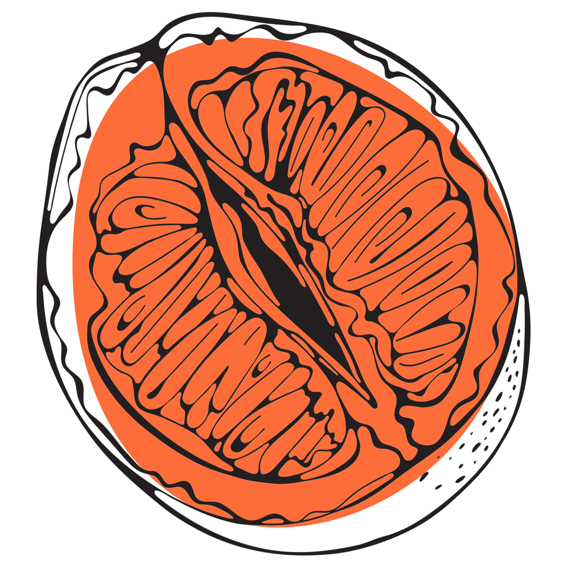 A stylized illustration of a sliced orange, showing the inner segments and central pith.