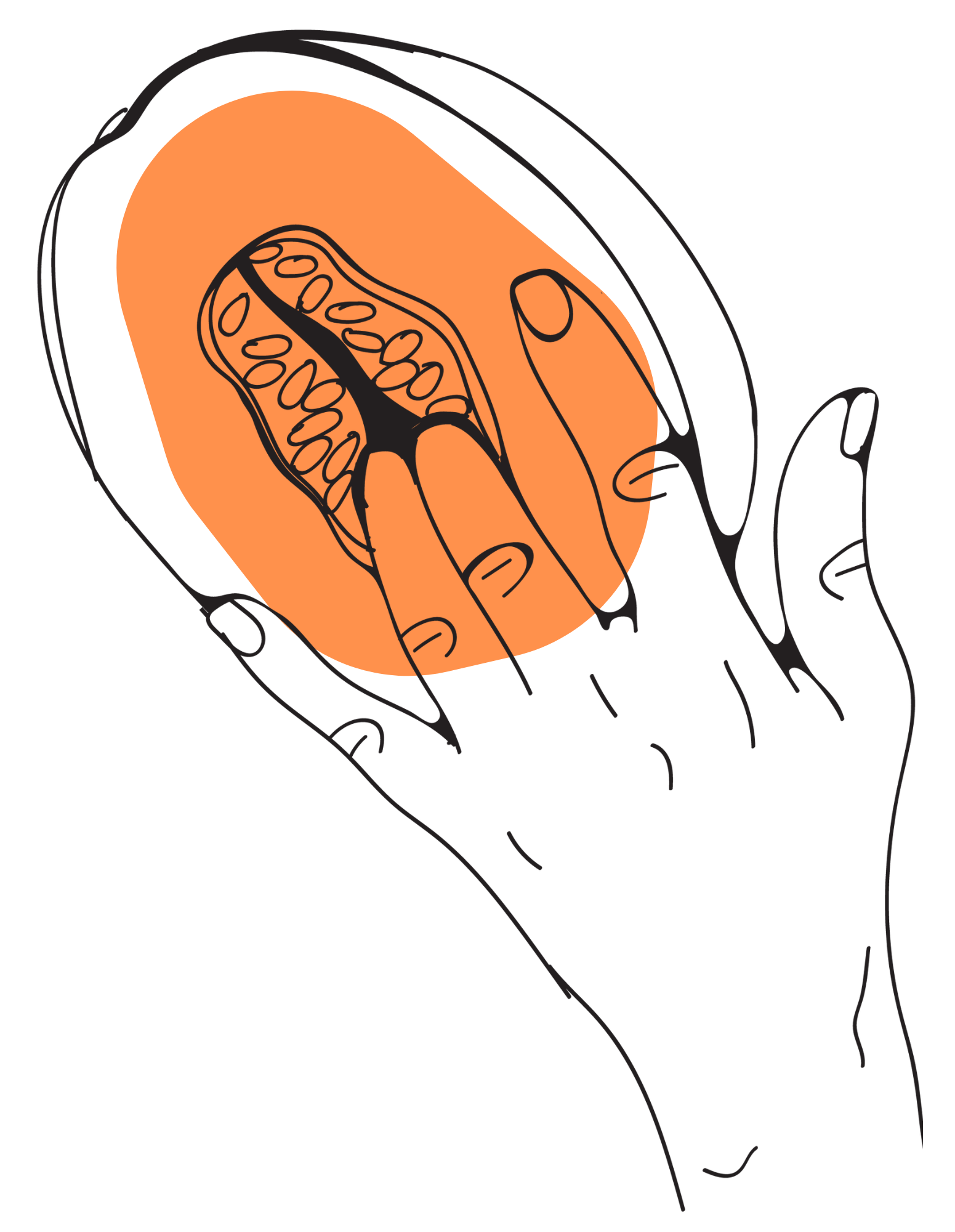 Line drawing of a hand holding and pointing to an orange oval with a stylized black seed inside.
