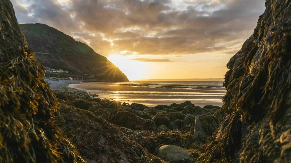 Immersion series: Weekend Retreat