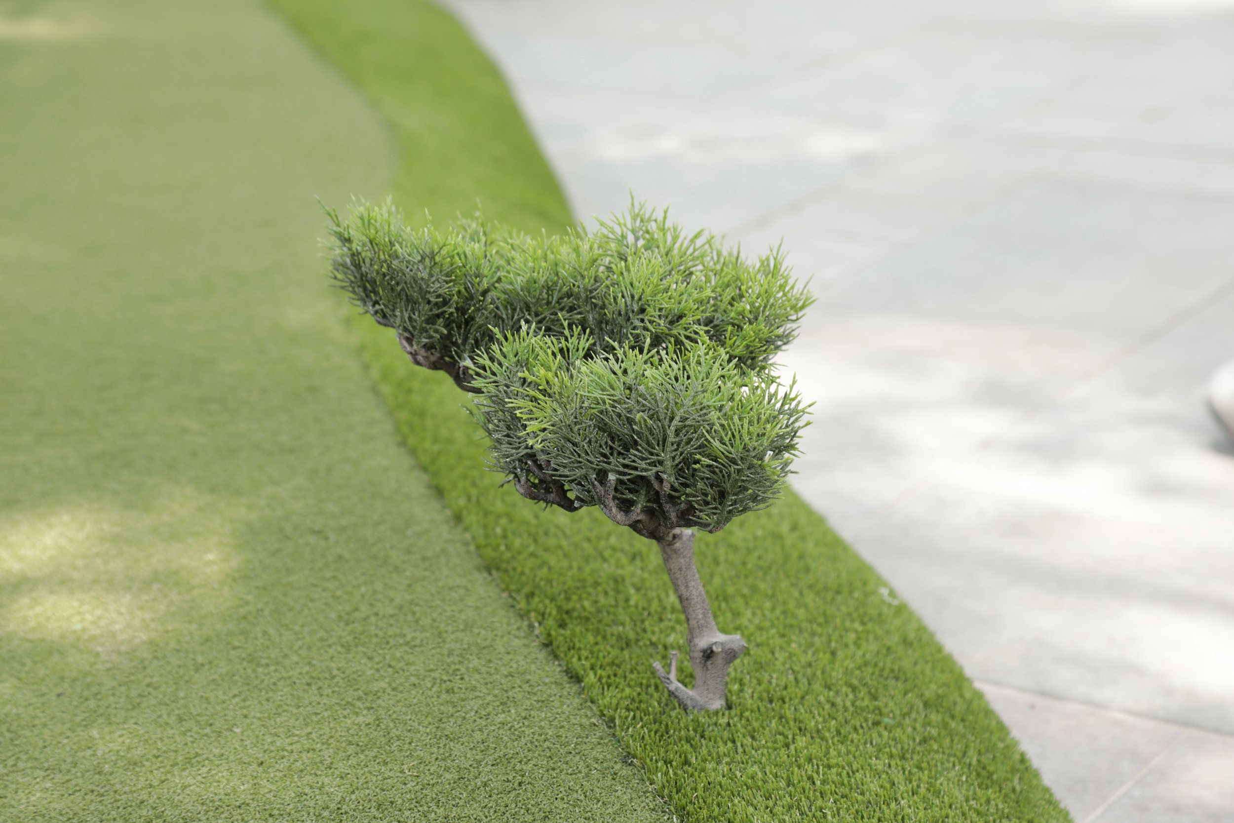 close up of a fake tree on an artificial grass putting green
