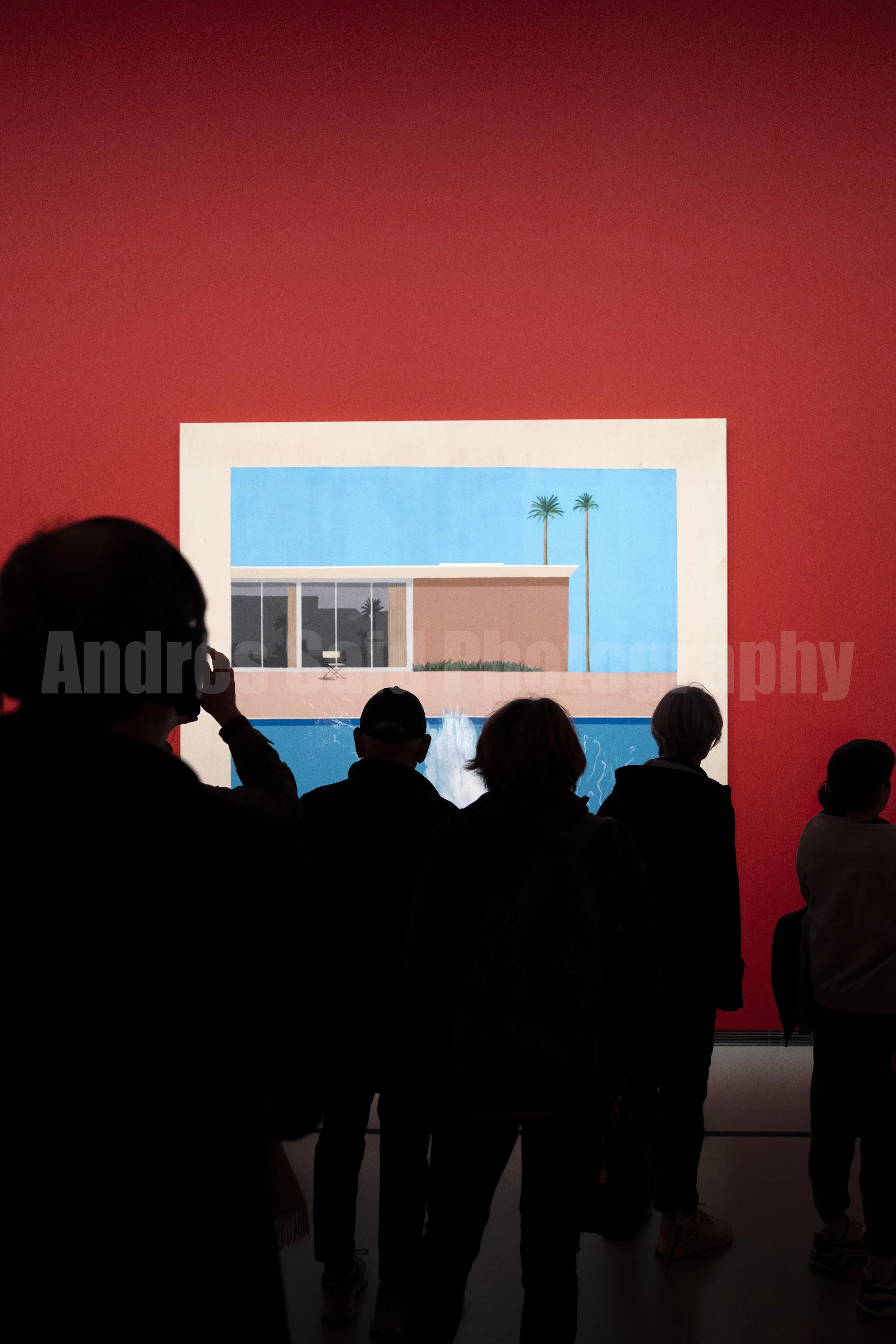 This painting, A Bigger Splash, makes you feel as if you were watching a scene from a Hollywood movie.