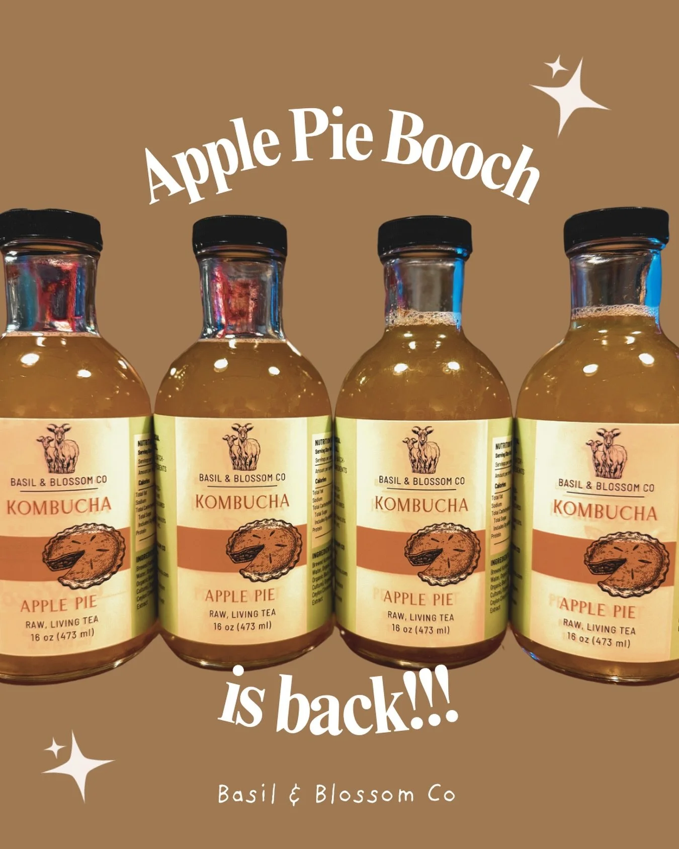 Our kombucha base fermented with apples, cinnamon, and vanilla extract.

All made with organic ingredients.

All the cozy apple pie vibes, no fork required. ✨