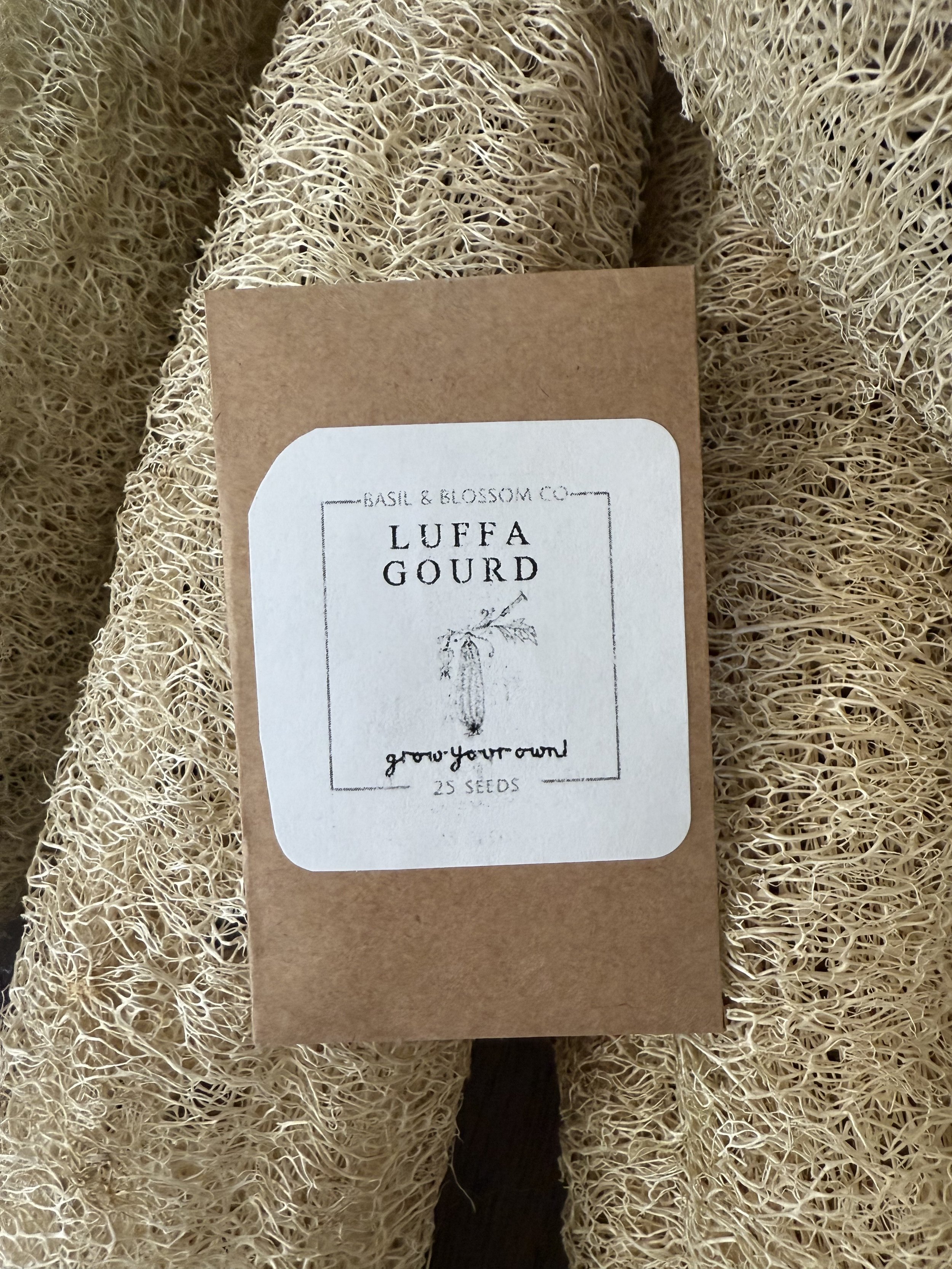 Luffa Gourd Seed (25 count, organically grown)