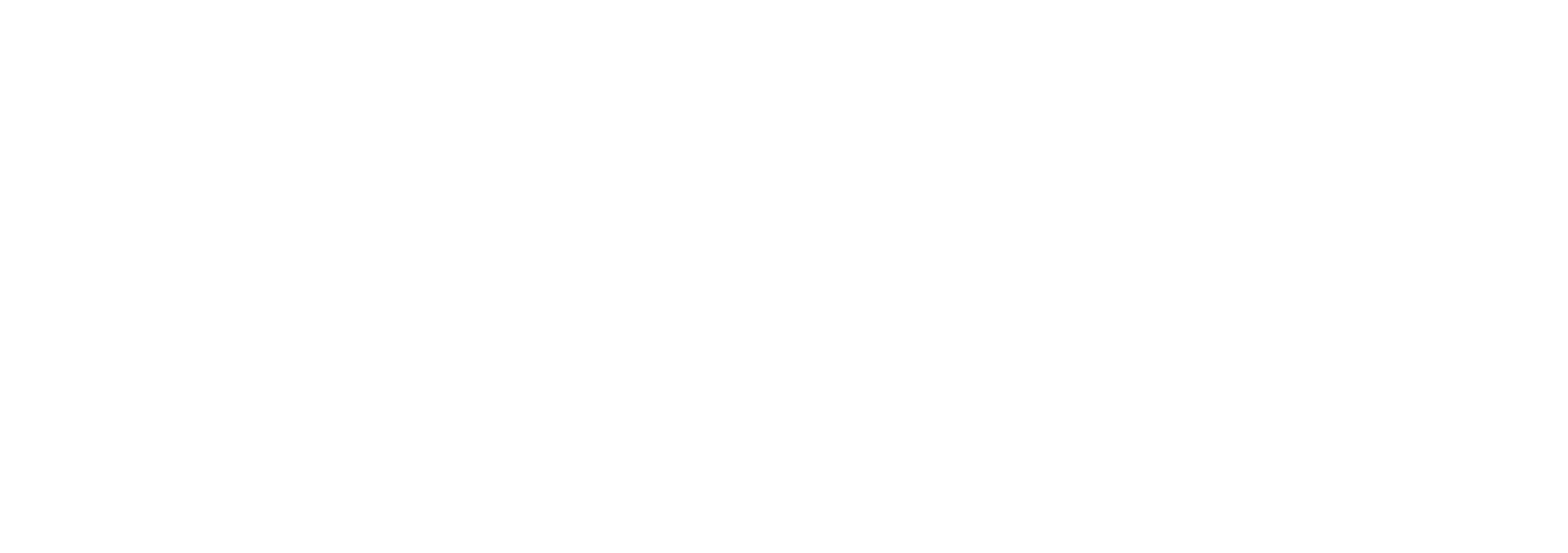 Levison Projects