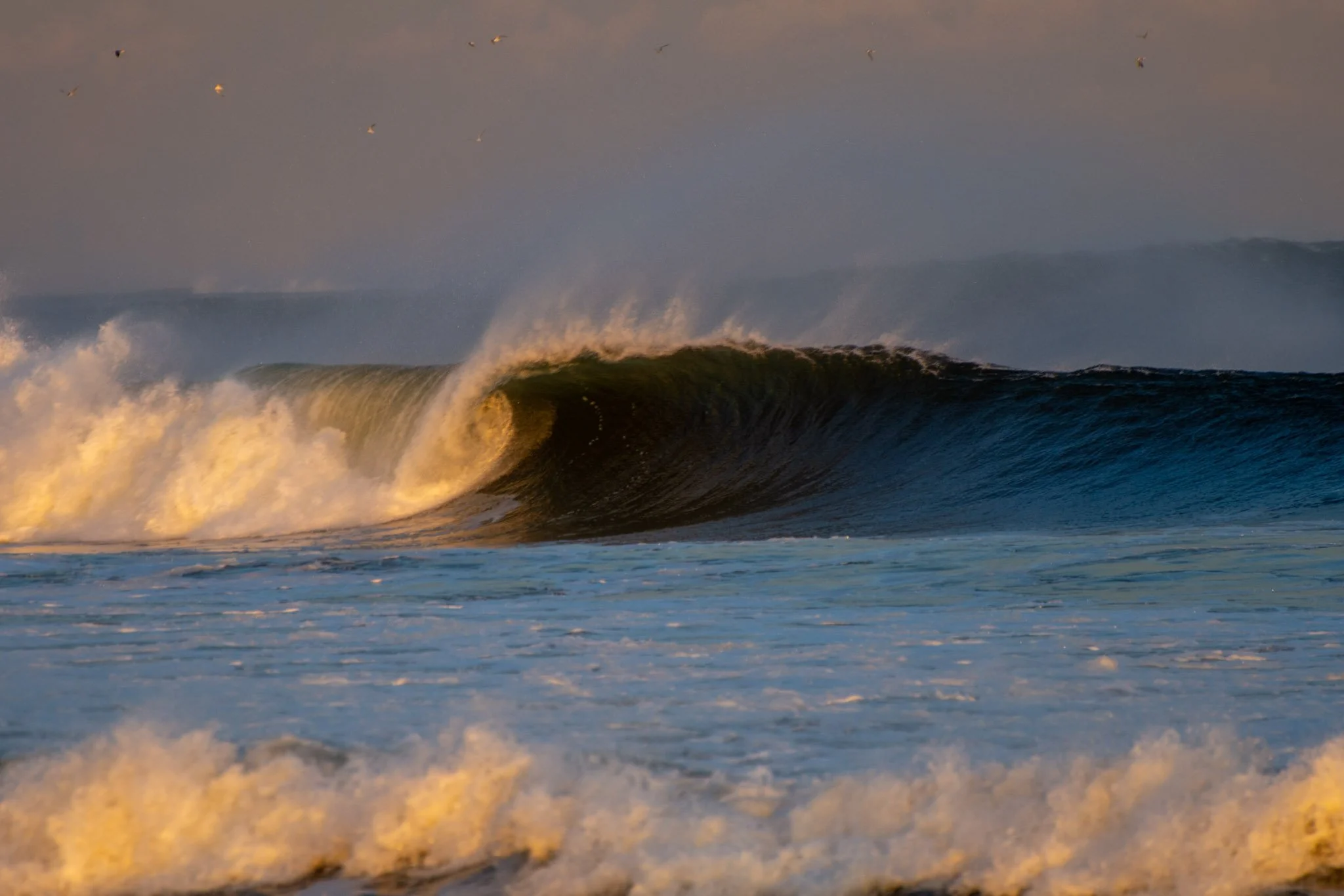 Spiral Wave
