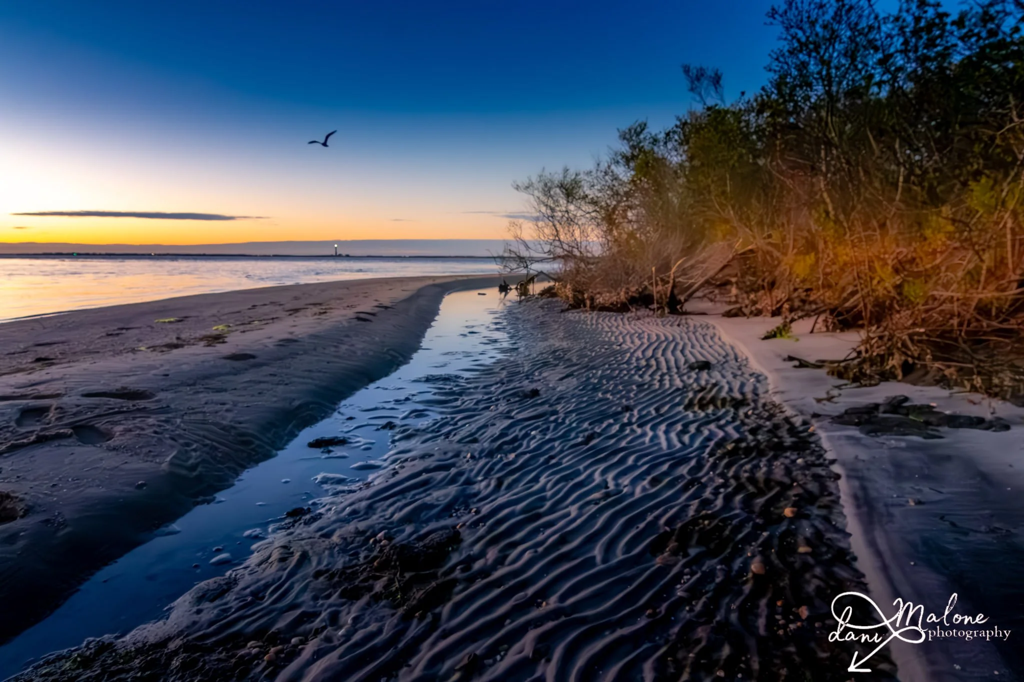 Beach at sunset with rippled sand, a narrow stream of water, trees on the right, and a bird flying in the sky.