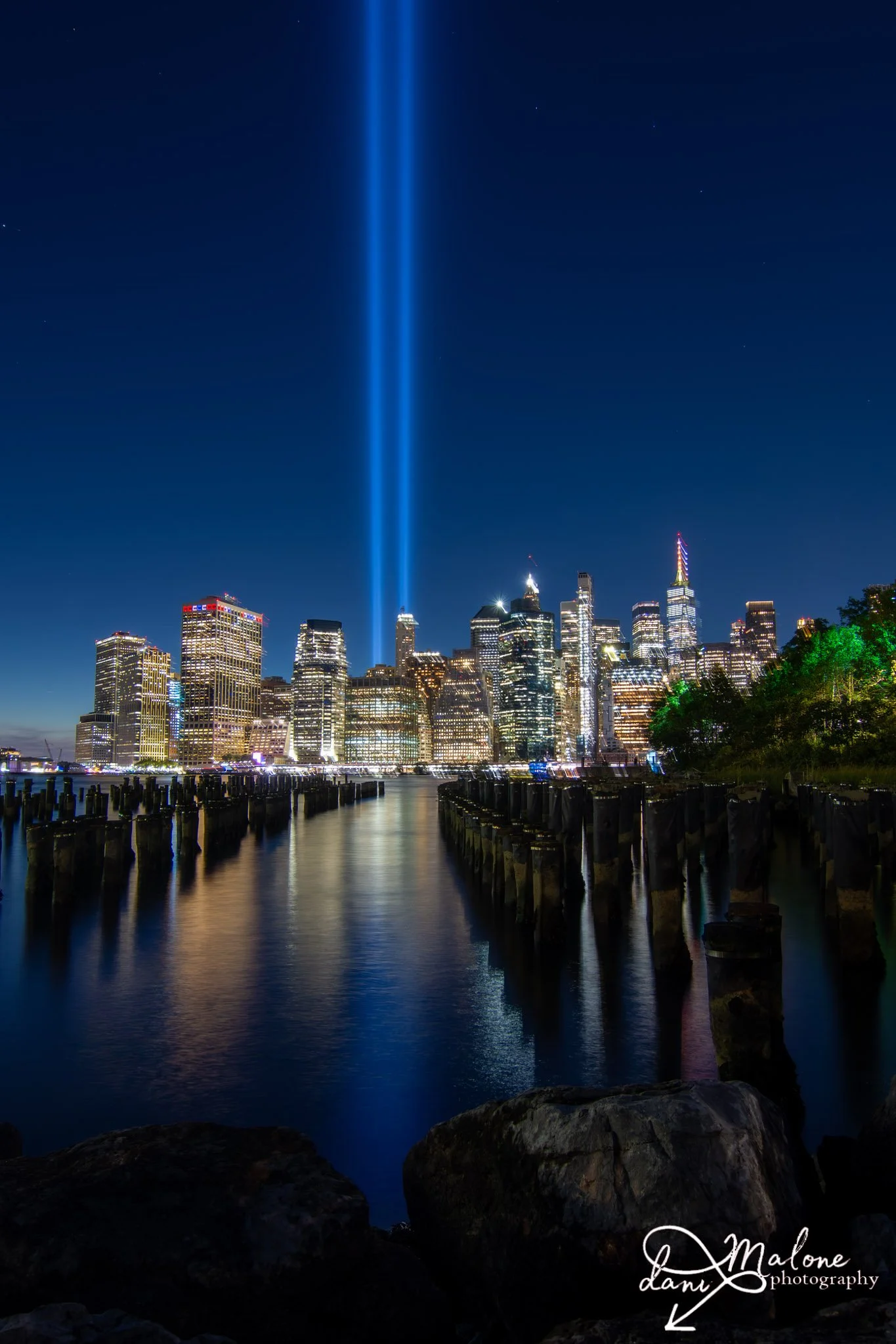 Tribute of lights (vertical)