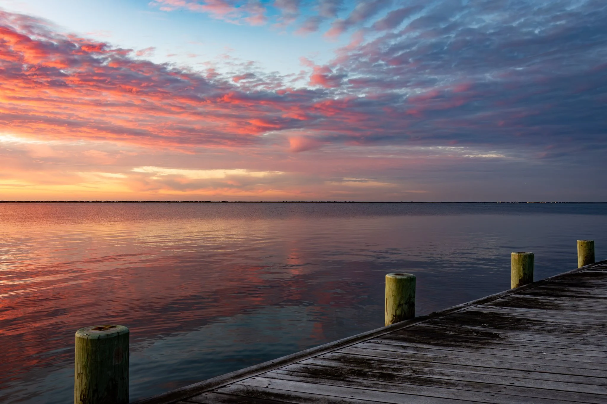 Pink Sunrise