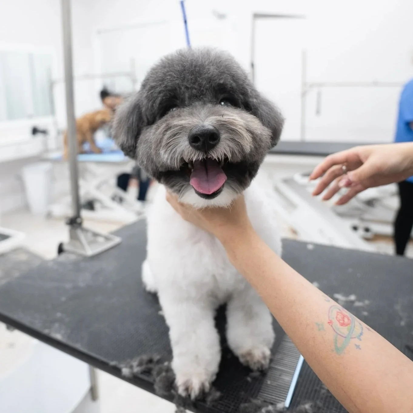 Quality Pet Spot Hillsdale