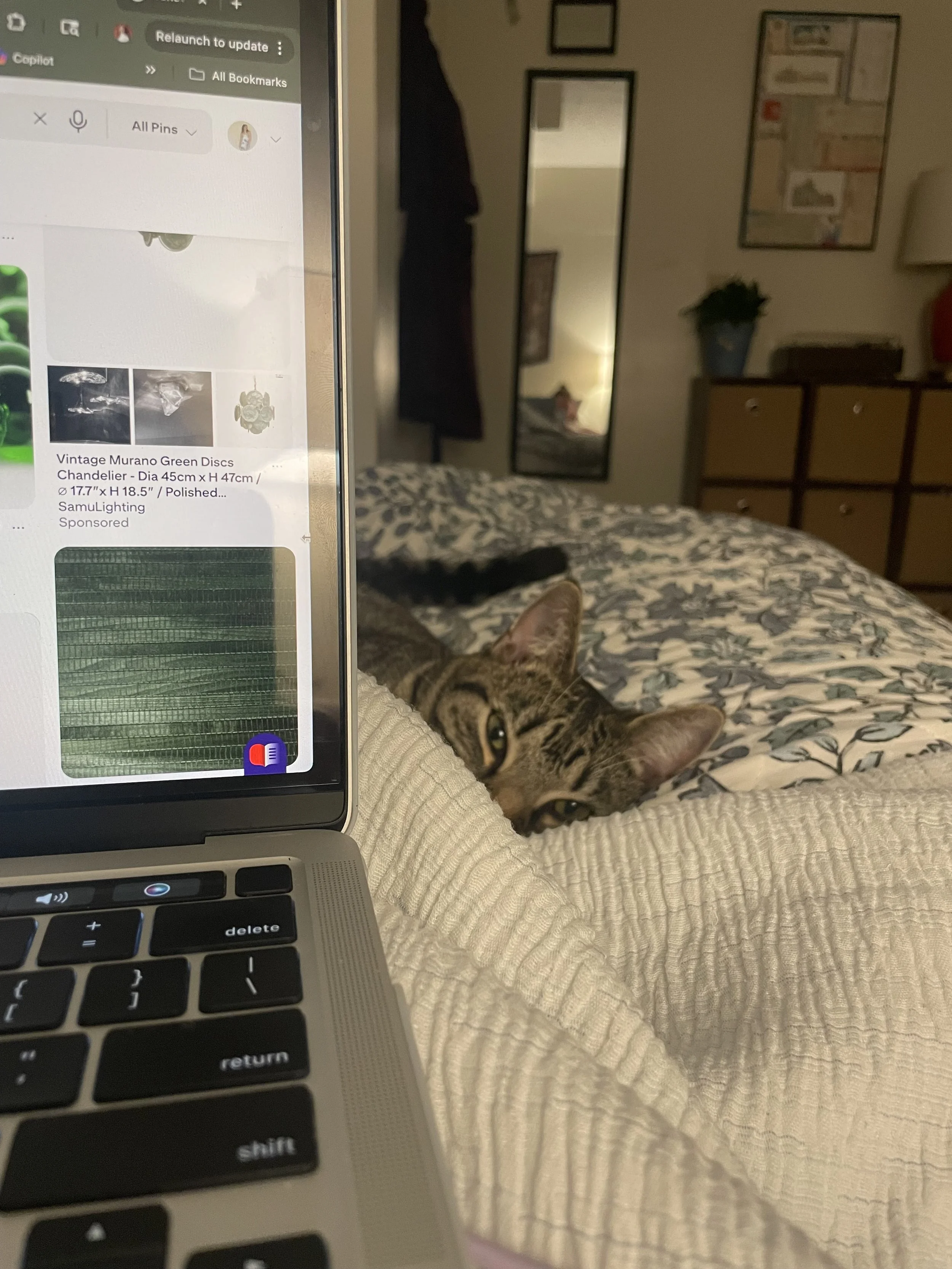 IMG_7623.jpeg