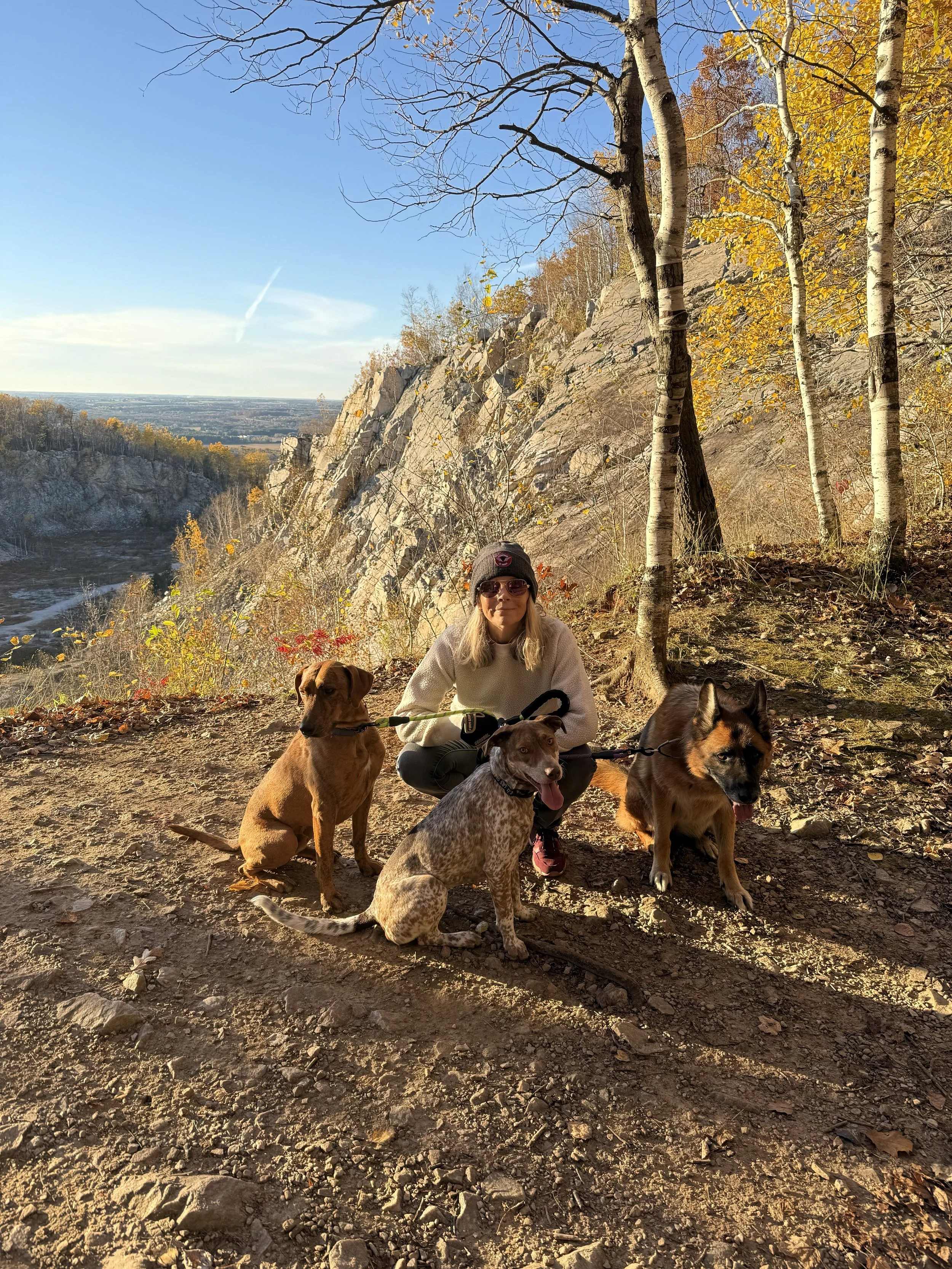 battino dog photo.jpg