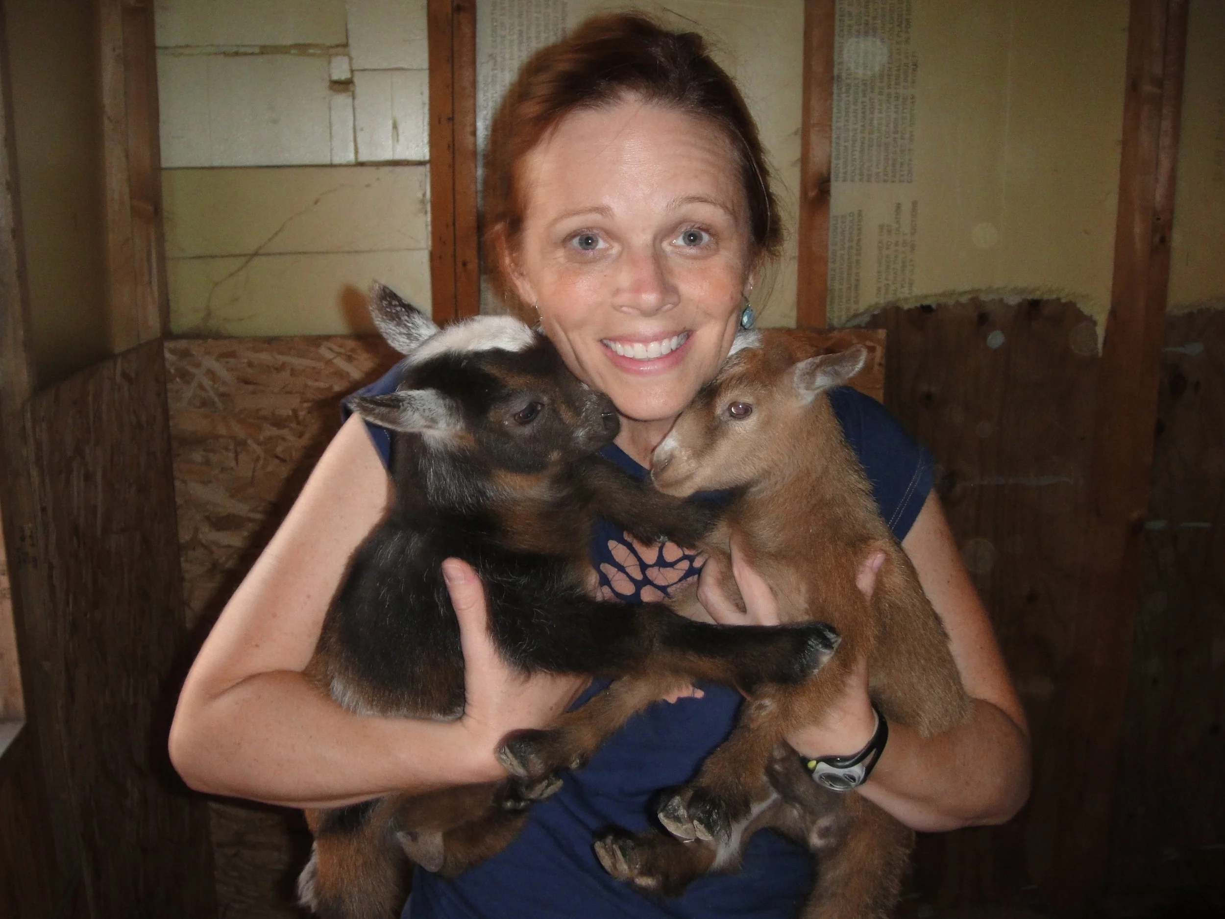 battino goat photo.JPG