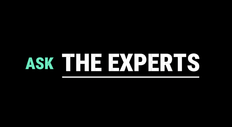 Ask the Experts: How to Start Your Job Search