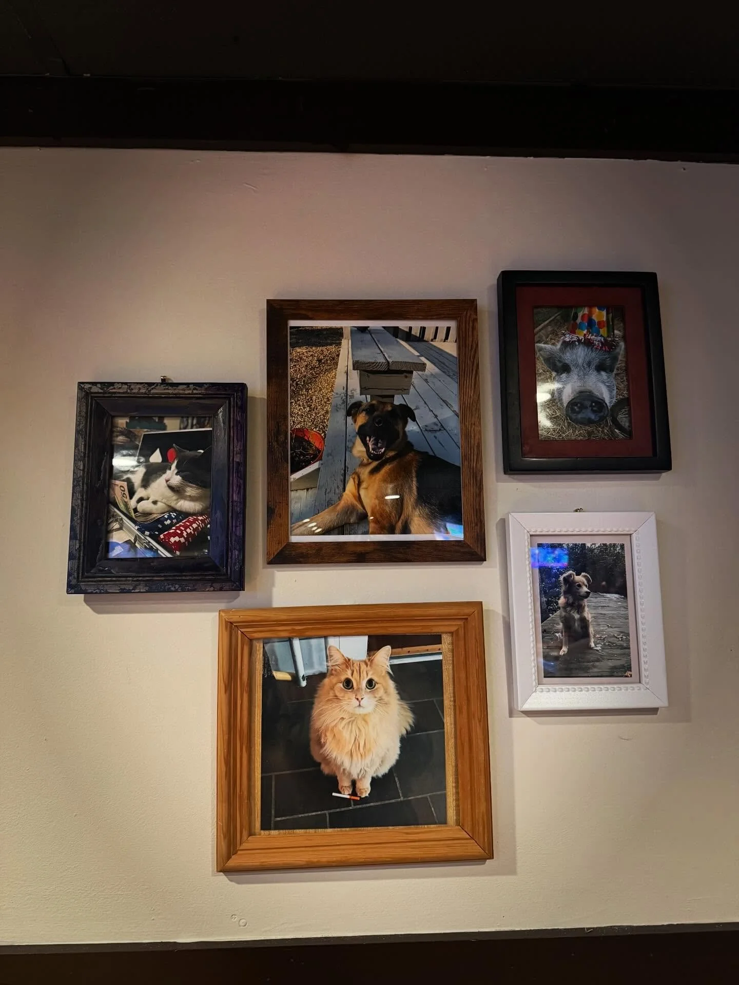 🐾 🚨 Calling All Pet Parents 🚨 🐾

We&rsquo;re building something special at The Idle Hour&hellip; our Community Pet Wall &mdash; a place to celebrate the furry, feathered, scaly, and forever-loved members of our families. ❤️

We&rsquo;re inviting 