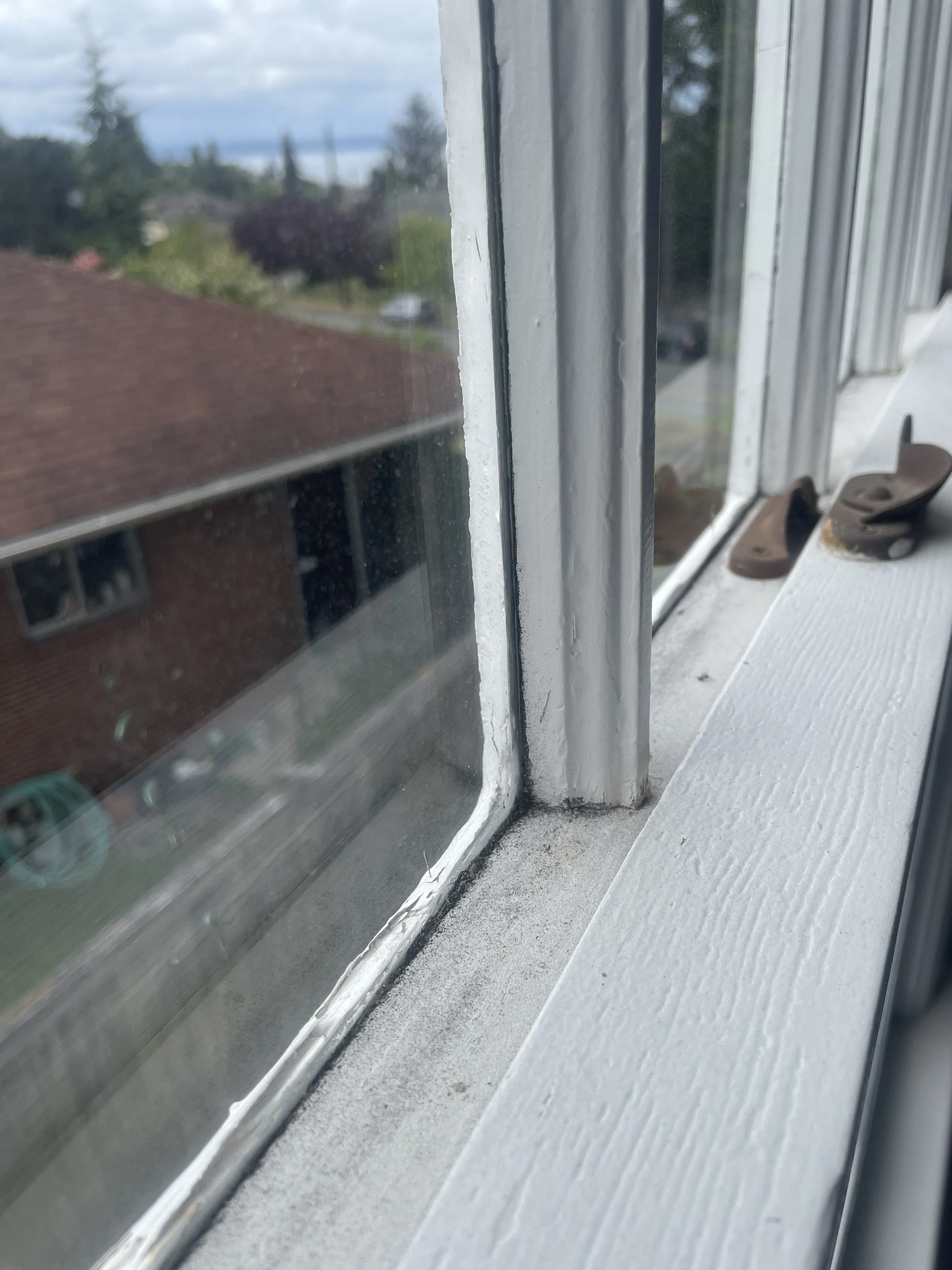 Close-up photo of a window frame and windowsill with some brown window locks and dirt or dust on the sill, with a view of a residential neighborhood with trees and rooftops outside.
