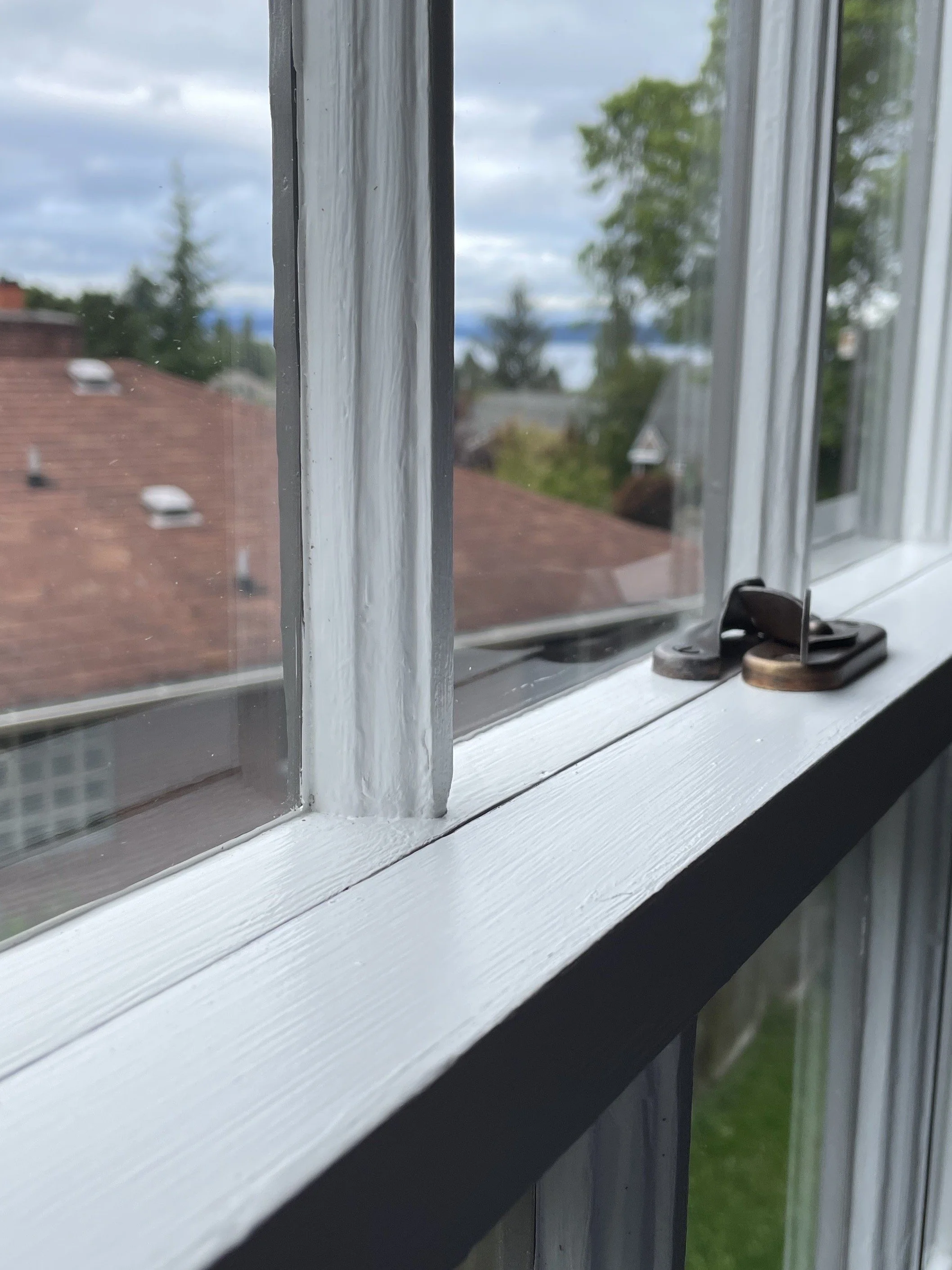 Close-up of a window sill showing painted white wood, window latch hardware, and a view of neighboring rooftops and trees outside.