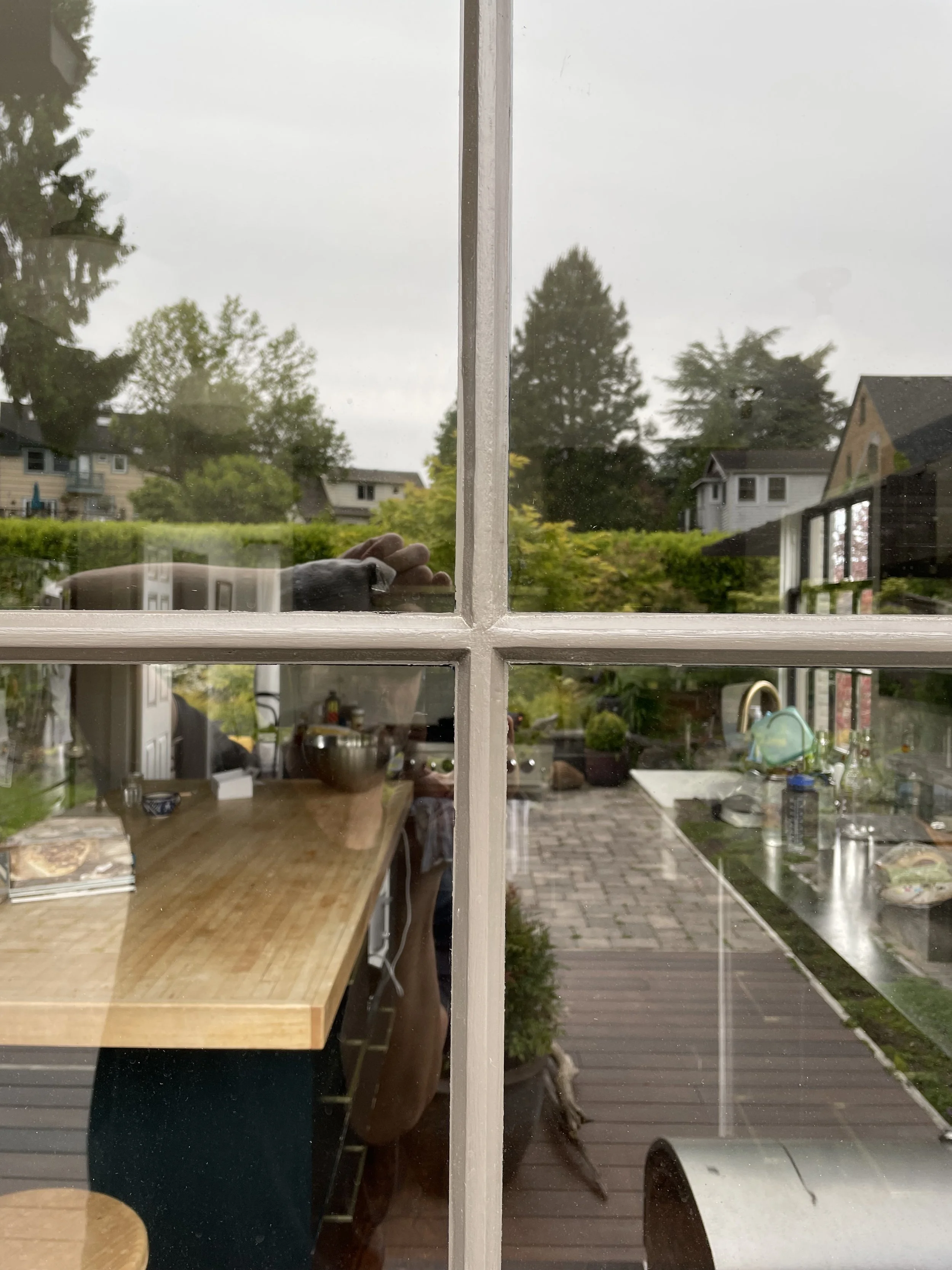 View through a window showing a backyard with trees, houses, and cloudy sky, with kitchen appliances and cabinets visible inside.