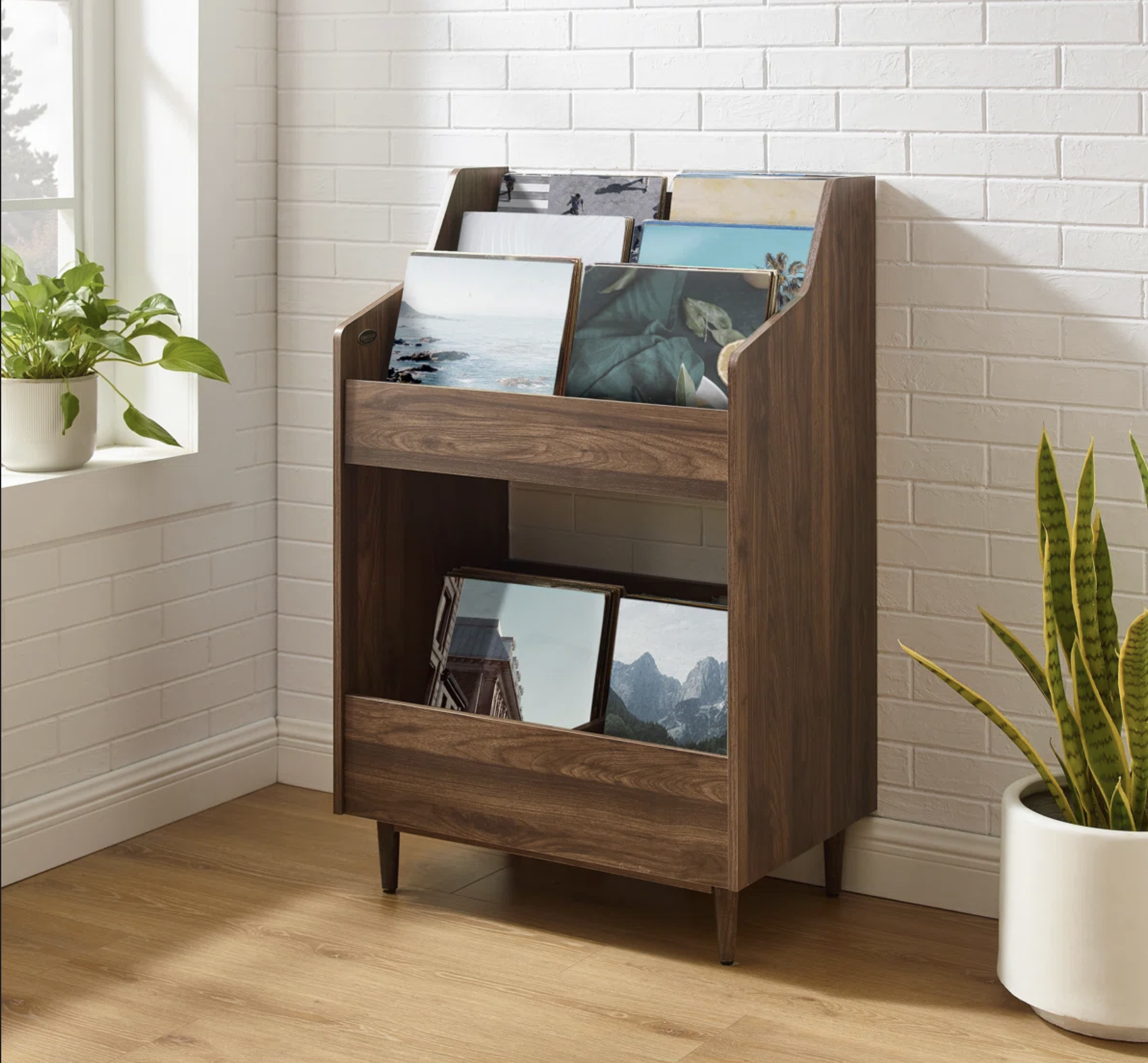 Vinyl record storage