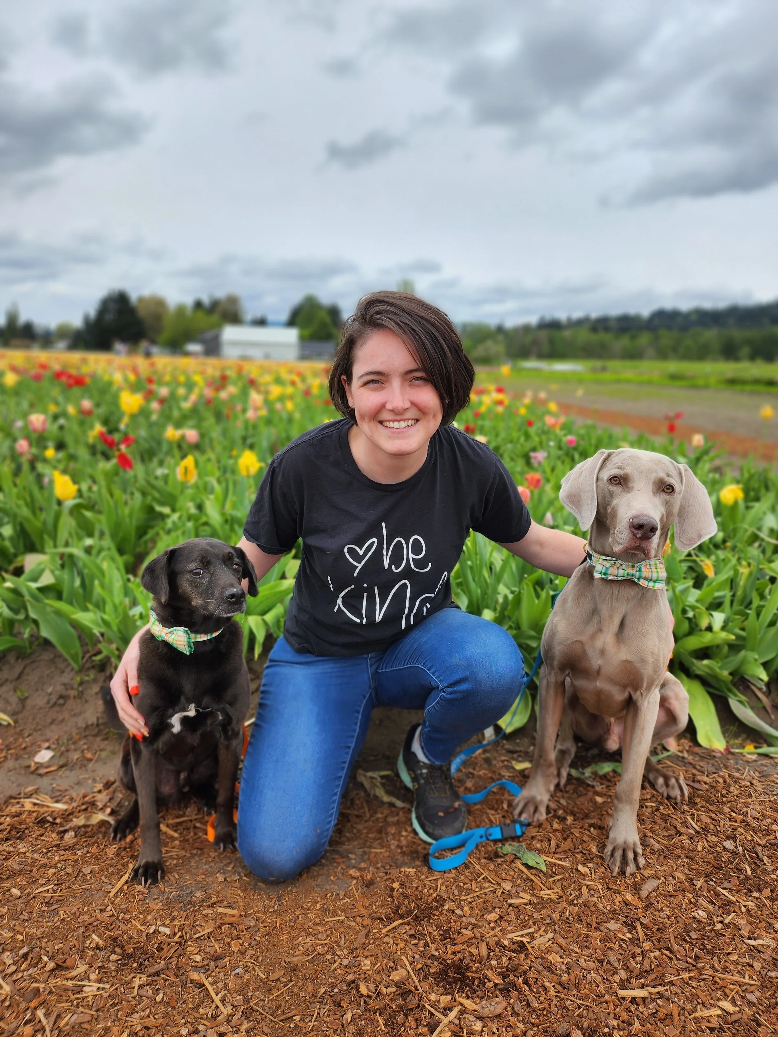 A woman kneeling in a tulip field with two dogs, one black and one gray, both wearing plaid bowties. Overcast sky.