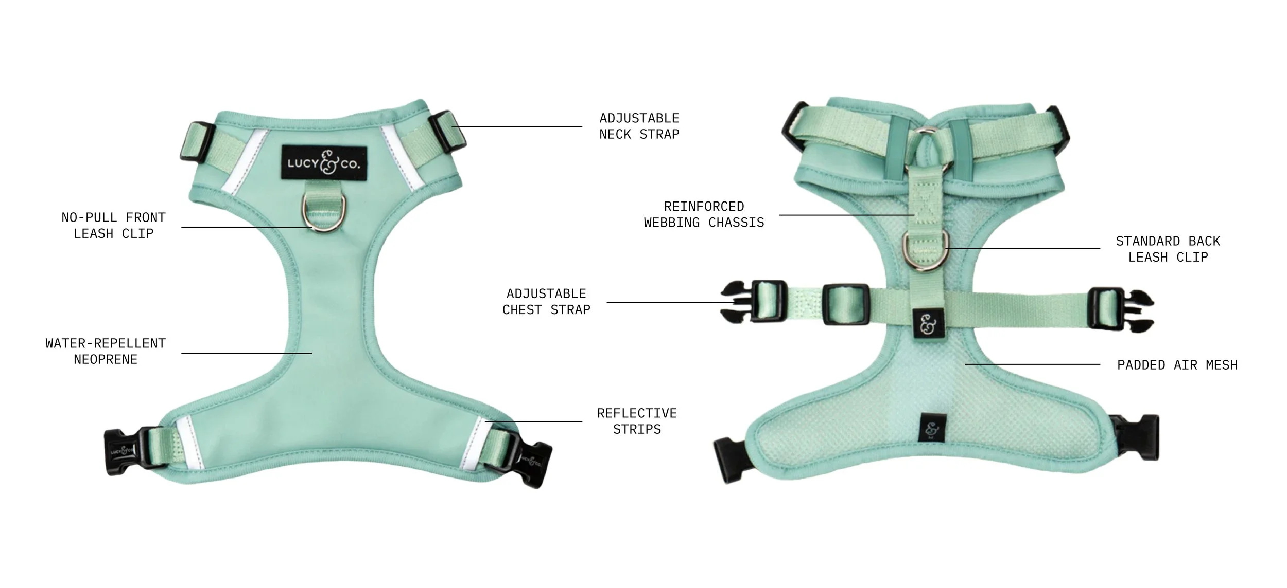 Diagram of  Lucy & Co. no-pull harness.