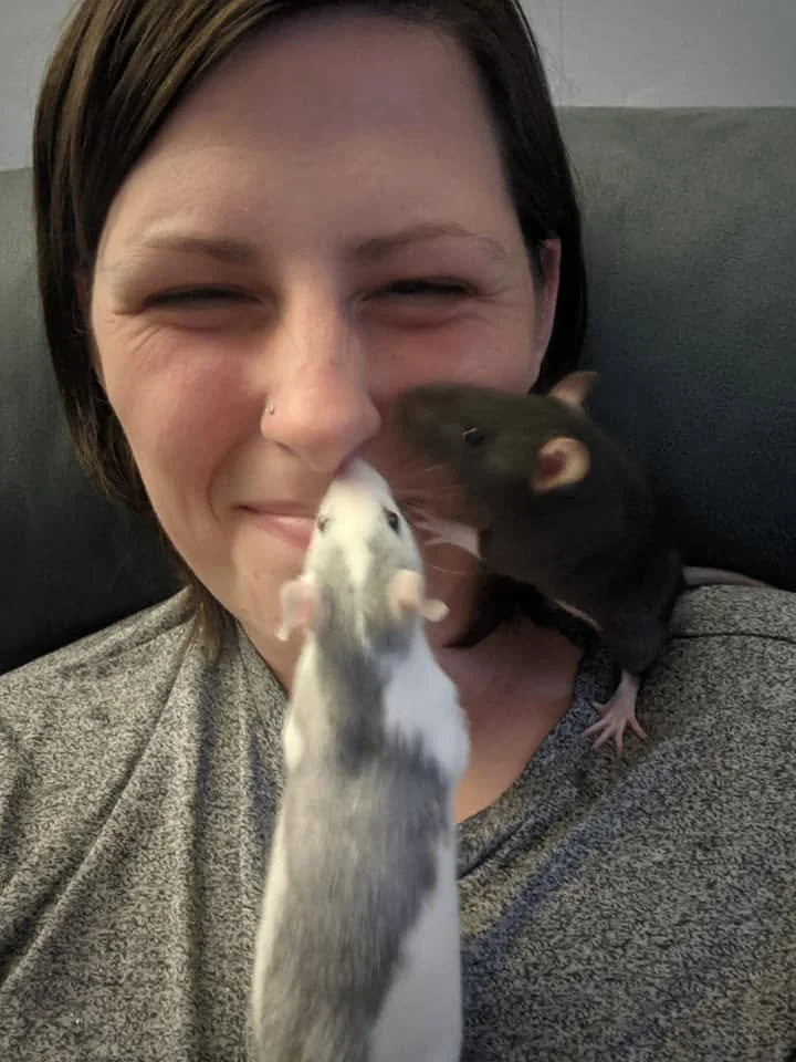 Laura from Tiny Tails Pet care is smiling as two rats sniff her face. One of the rats is white and grey in colour and one is a solid grey colour.