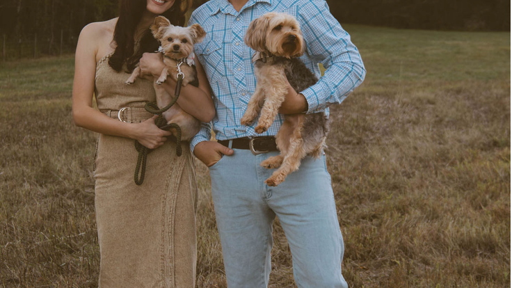 A cute dog with a scruffy coat and large ears, wearing a colorful bandana, is in a home kitchen looking up at the camera while being offered a piece of food. In the second part of the photo, the same dog is sitting in a vehicle, with its tongue slightly sticking out, near a bag of dog treats and a vehicle's dashboard.