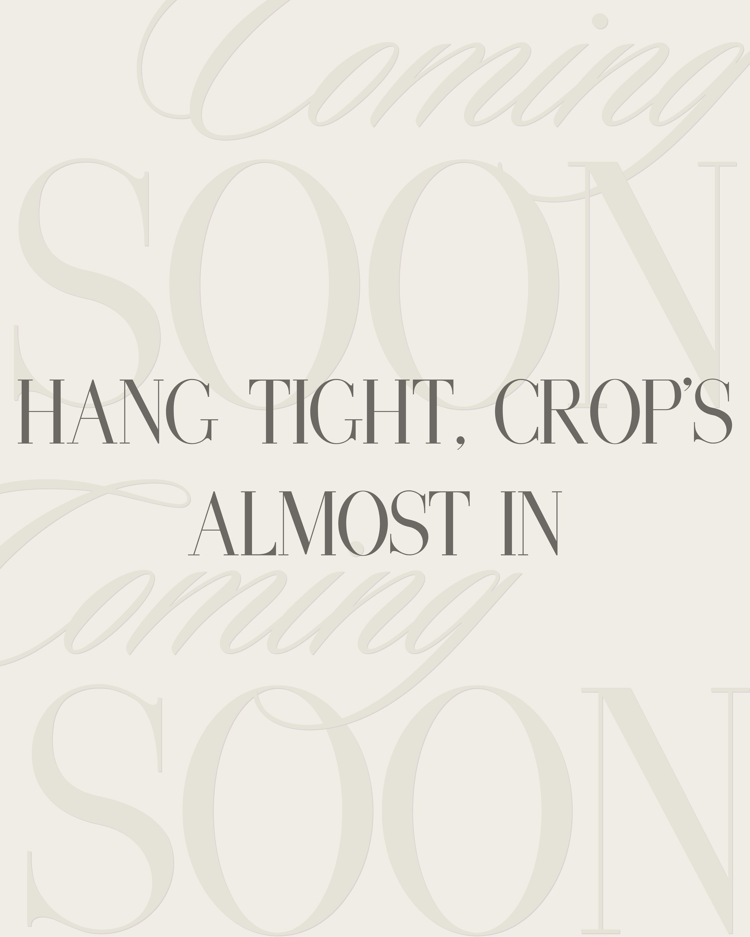 Close-up of a decorative sign with the quote 'Hang tight, crop's almost in' in large, elegant letters, and faint cursive text in the background.