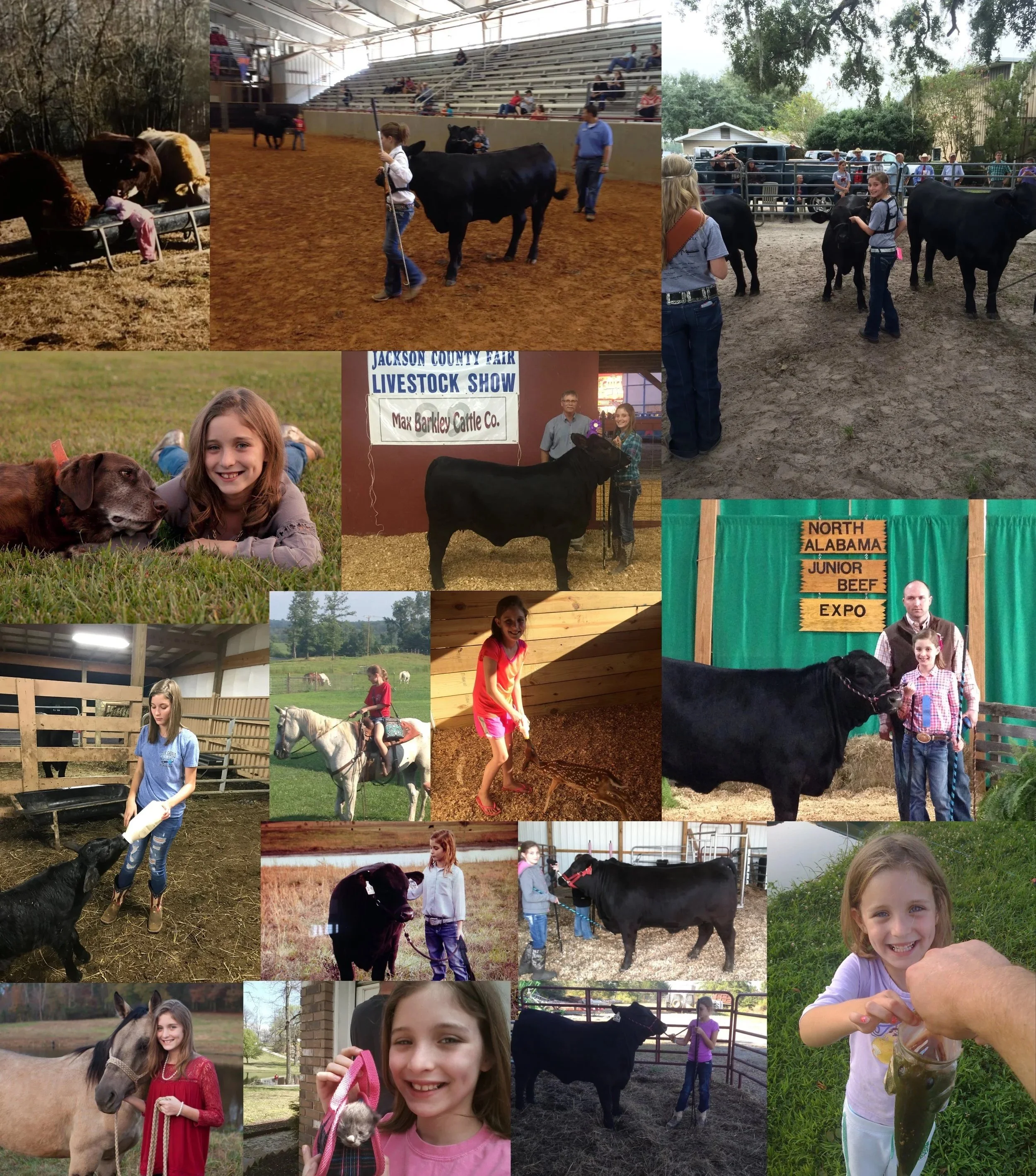A collage of children at a livestock fair, showing animals such as cows, horses, and a dog, with children riding horses, handling animals, and posing for photos.