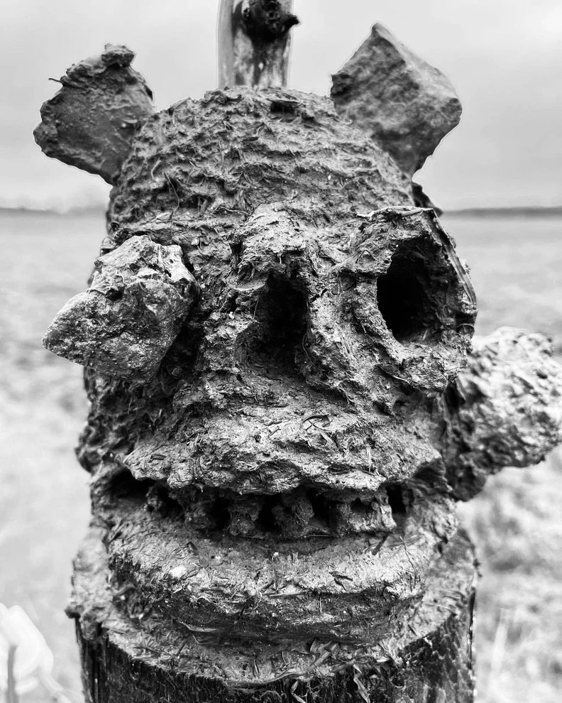 Close-up of a weathered, carved wooden sculpture resembling a grotesque face with large eye openings and a rough texture, set outdoors.