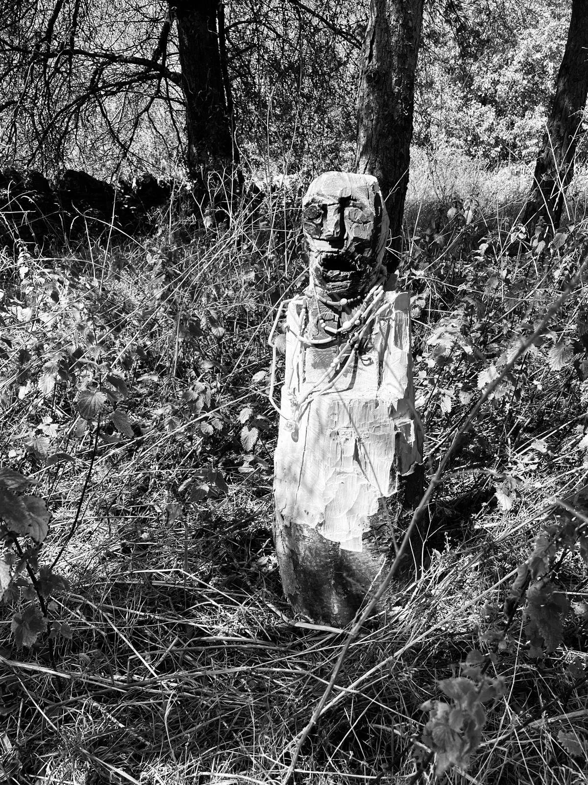 A carved wooden figure with a face, mounted on a cut tree trunk, standing among dry grass and plants in a wooded area.