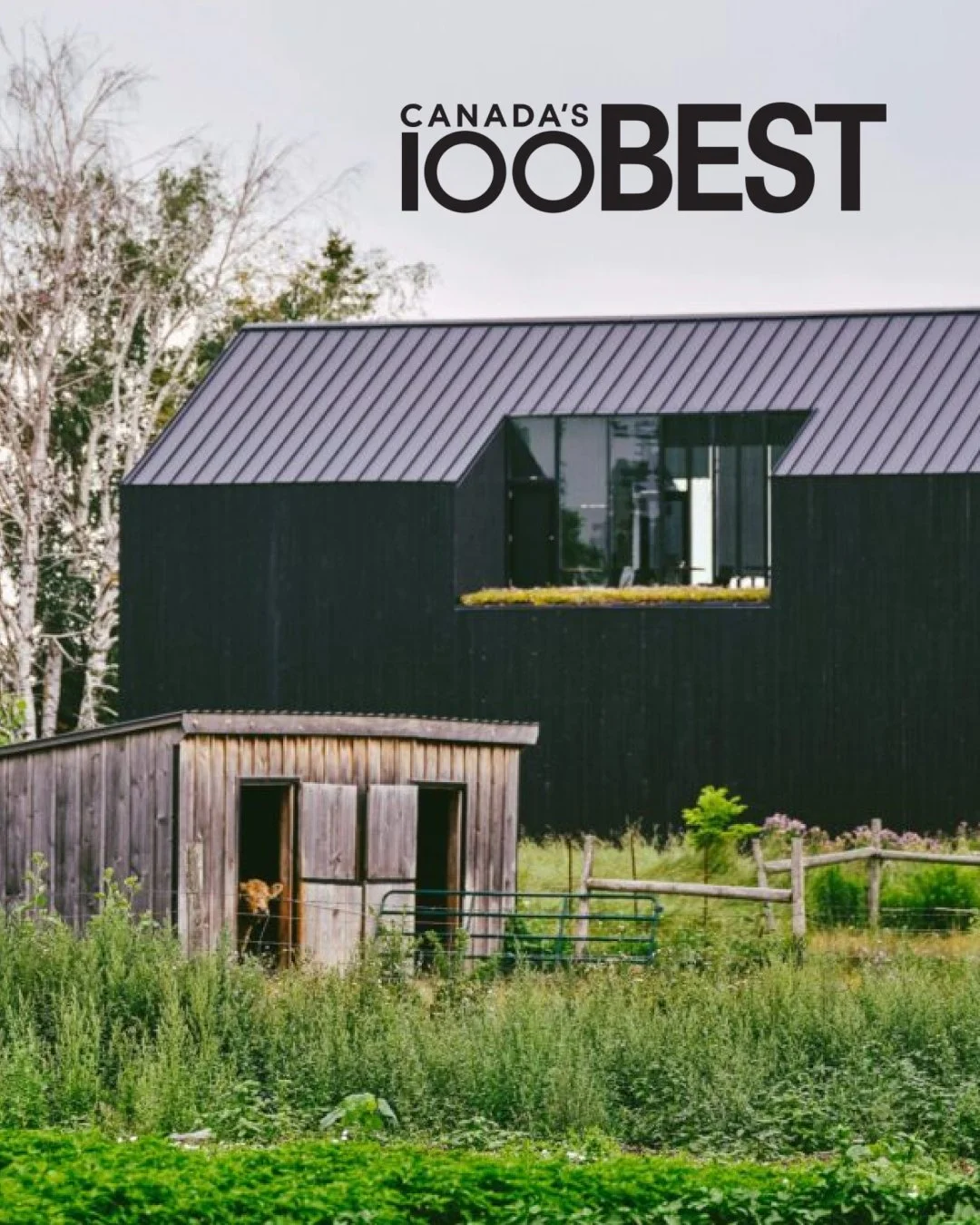 Best Destination Restaurant Award, Article (Print)