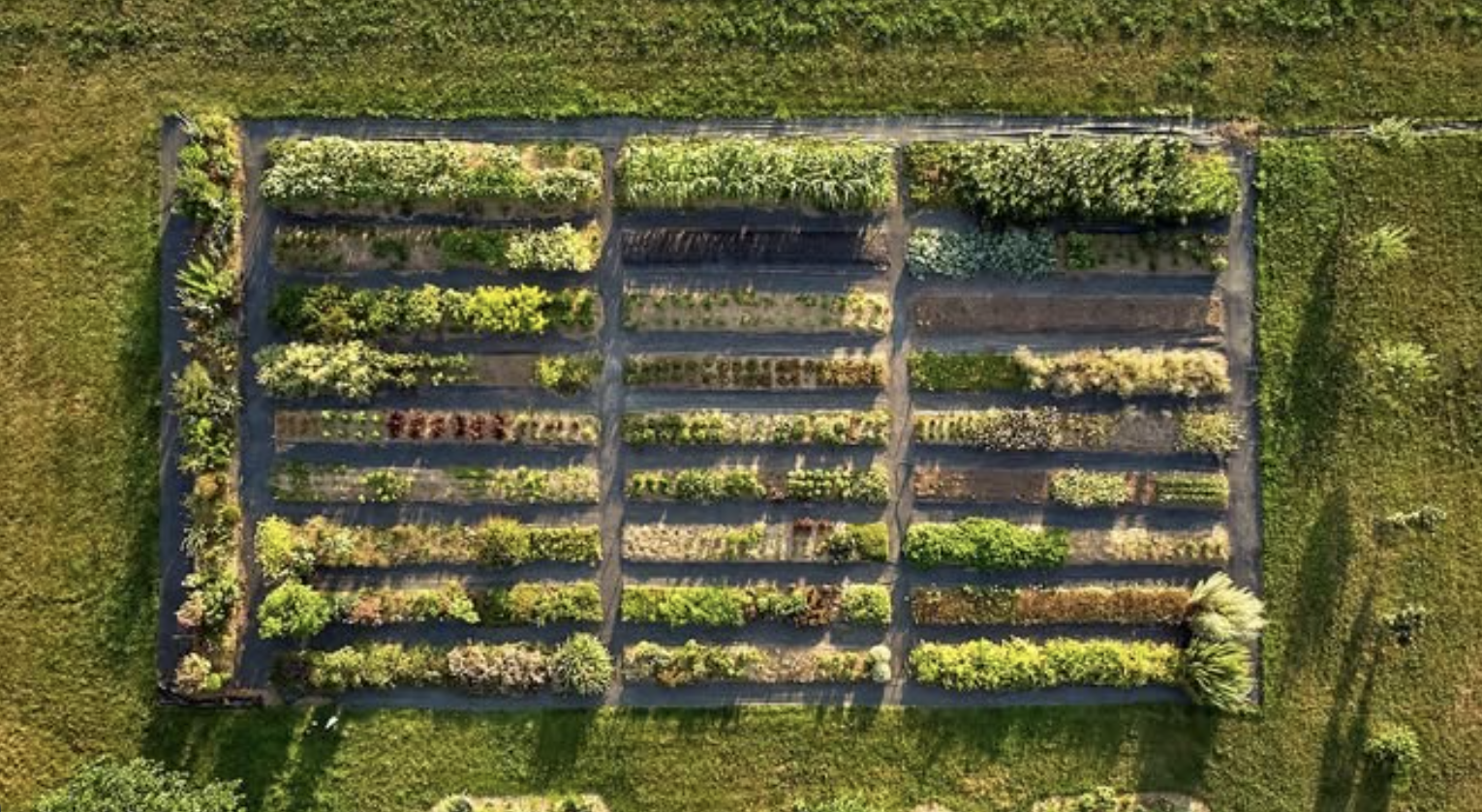 Screenshot 2025-11-25 at 1.01.35 PM.png