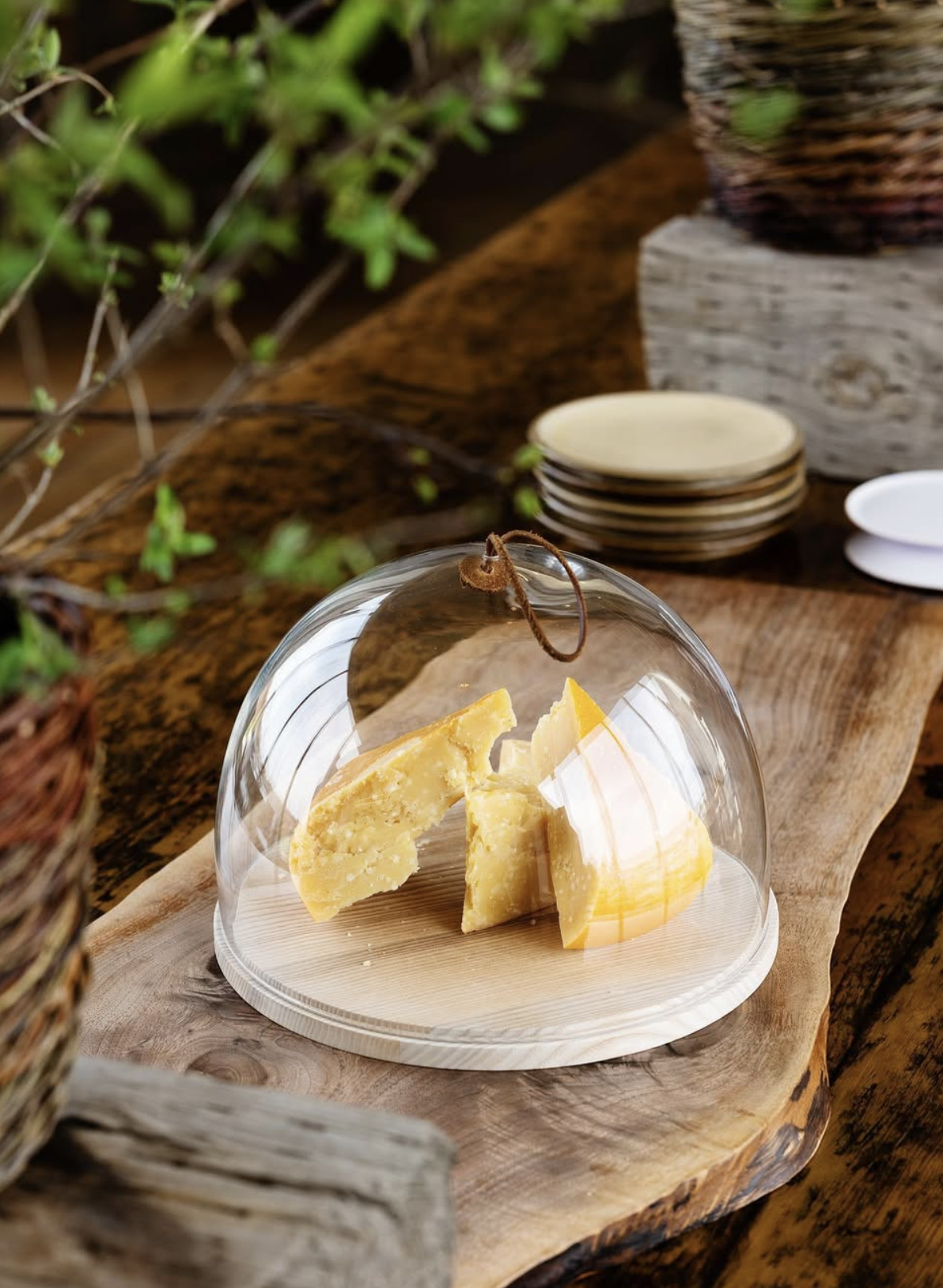 Screenshot 2025-11-25 at 12.51.02 PM.png