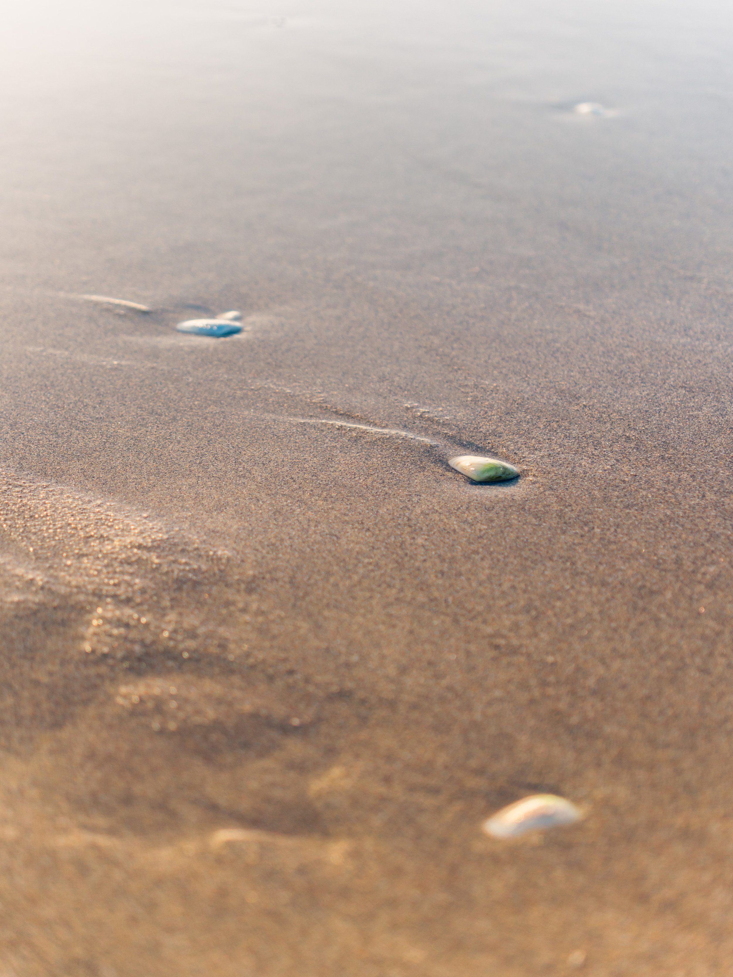 Stephanie - Dreamy Beach-73.jpg