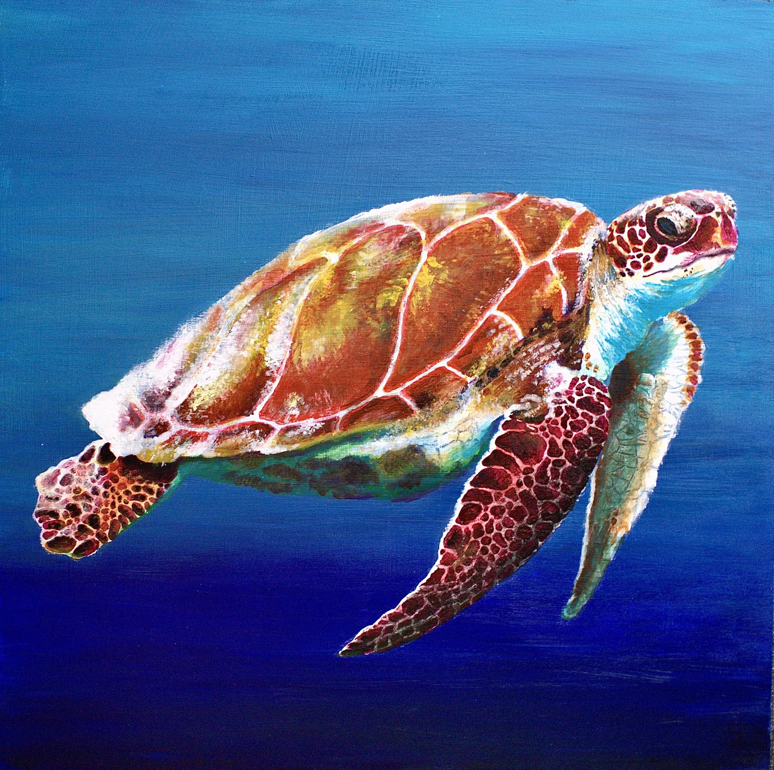 Sealife Diptych Part 1