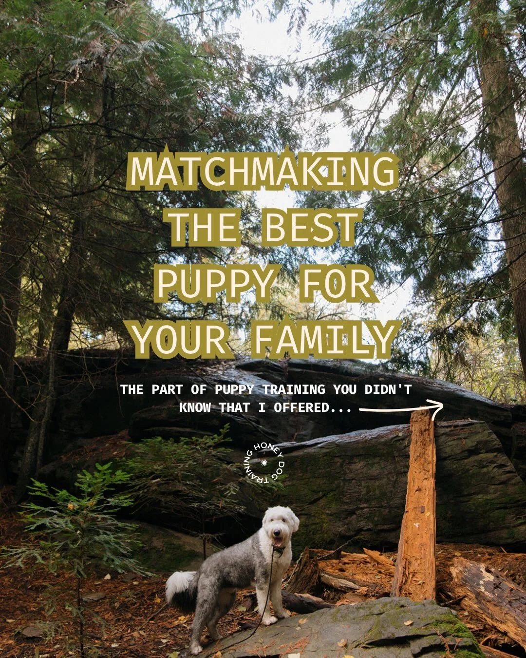 We knew he was the one because he chose US.&rdquo; It kind of reminds me of how Disney movies are representative of Prince Charming always sweeping you off your feet. To some, it can sound SO lovely in theory but in reality&mdash; this isn&rsquo;t a 