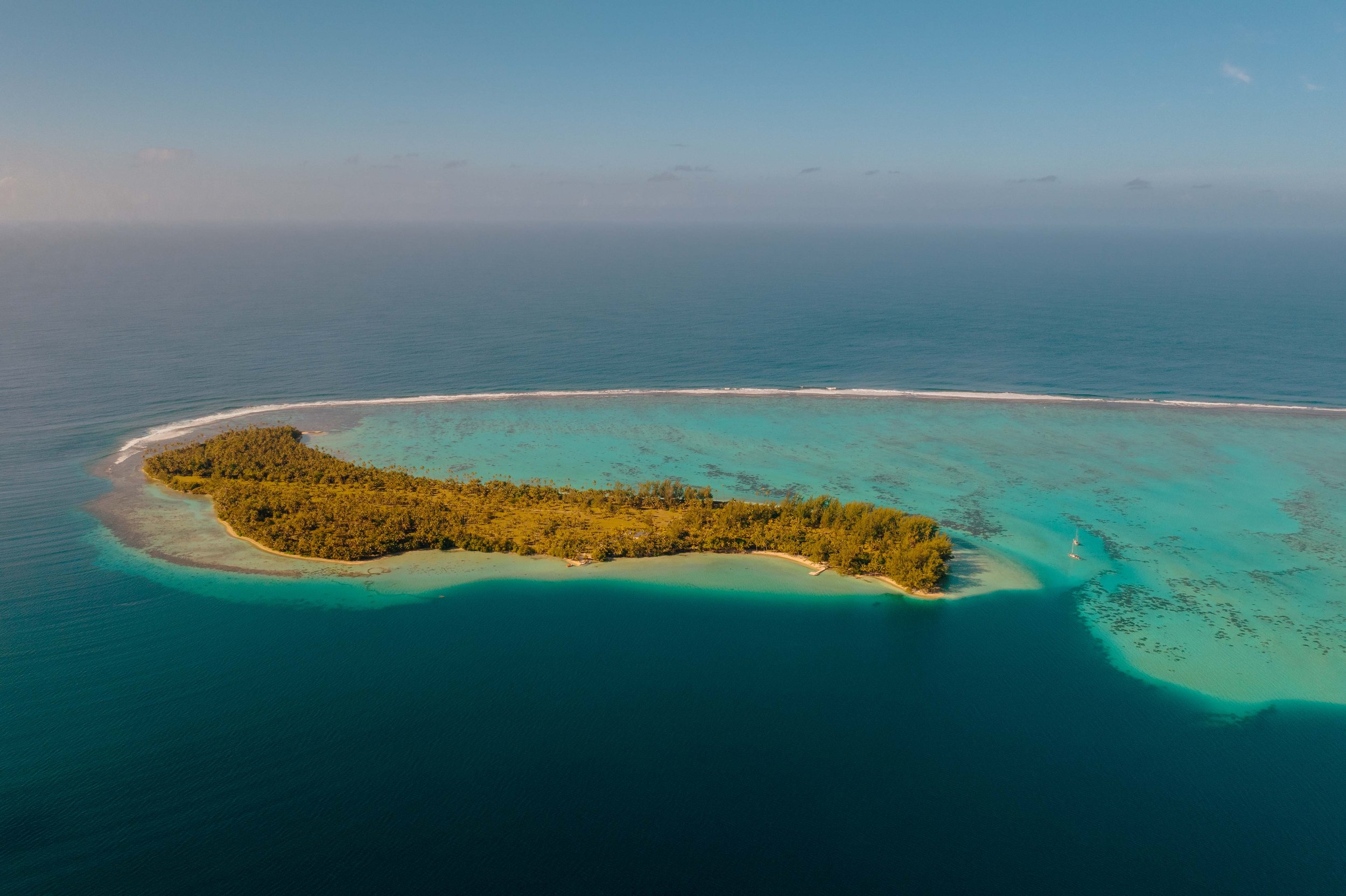 Île tropicale entourée d'eau turquoise, avec une forêt dense et une plage blanche.