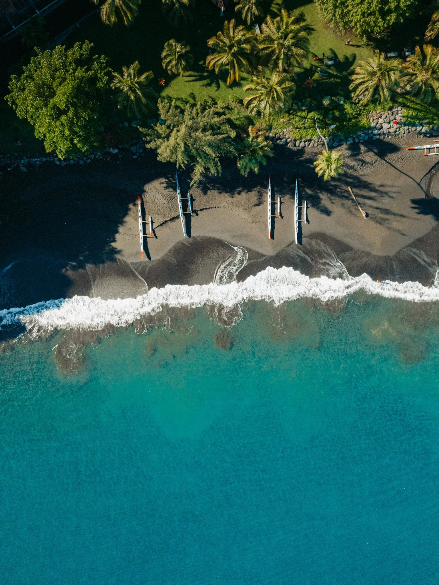Plage avec des planches de surf alignées sur le sable, à proximité d'une mer turquoise et d'une zone herbeuse avec des palmiers.