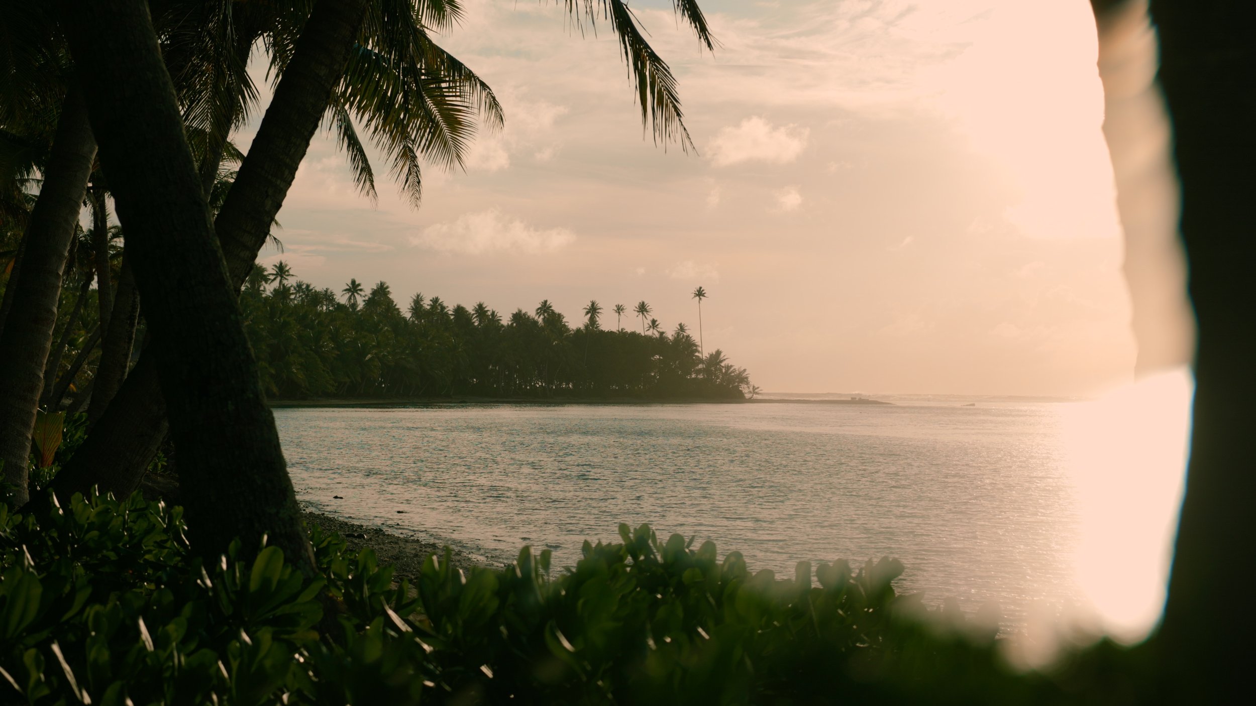 Coucher de soleil sur une plage tropicale avec des palmiers, vue de derrière des feuillages.
