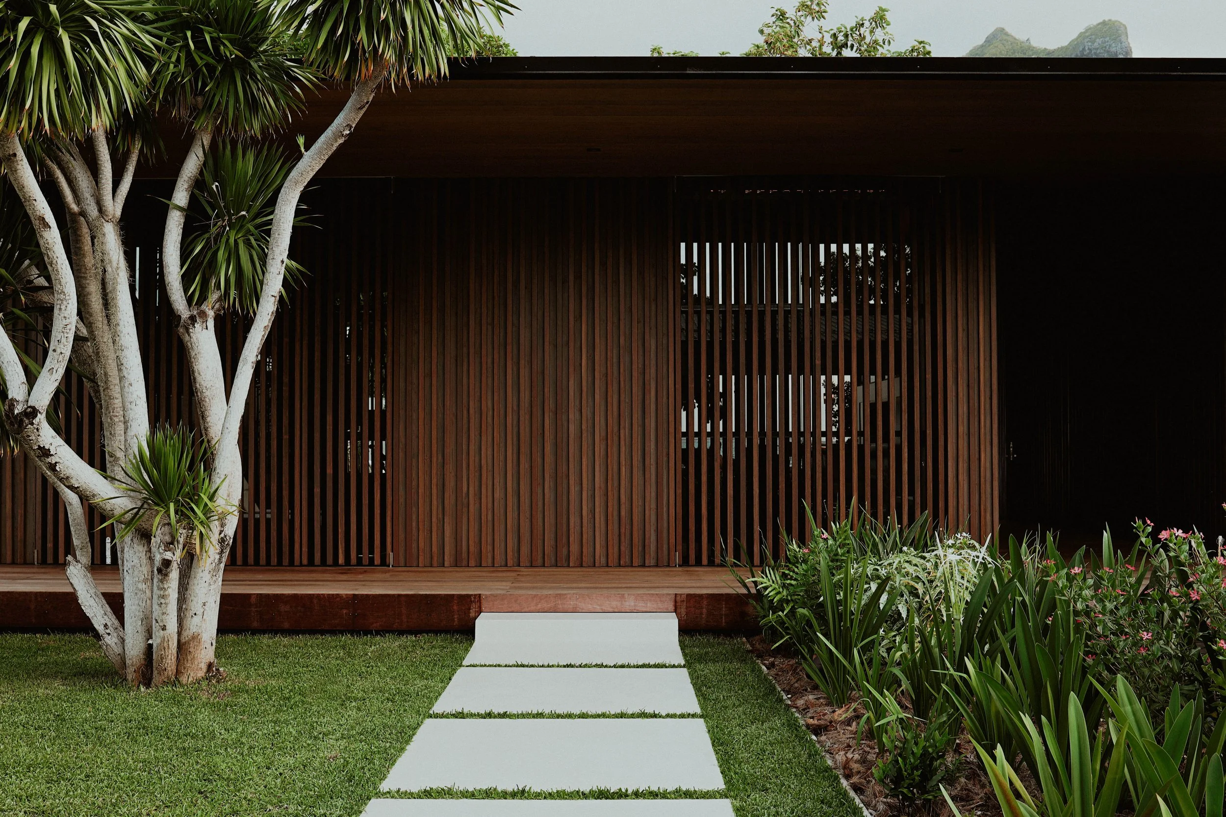 Façade d'une maison moderne avec un mur en bois et un chemin pavé menant à une terrasse. Jardin avec des plantes vertes et un arbre à gauche.