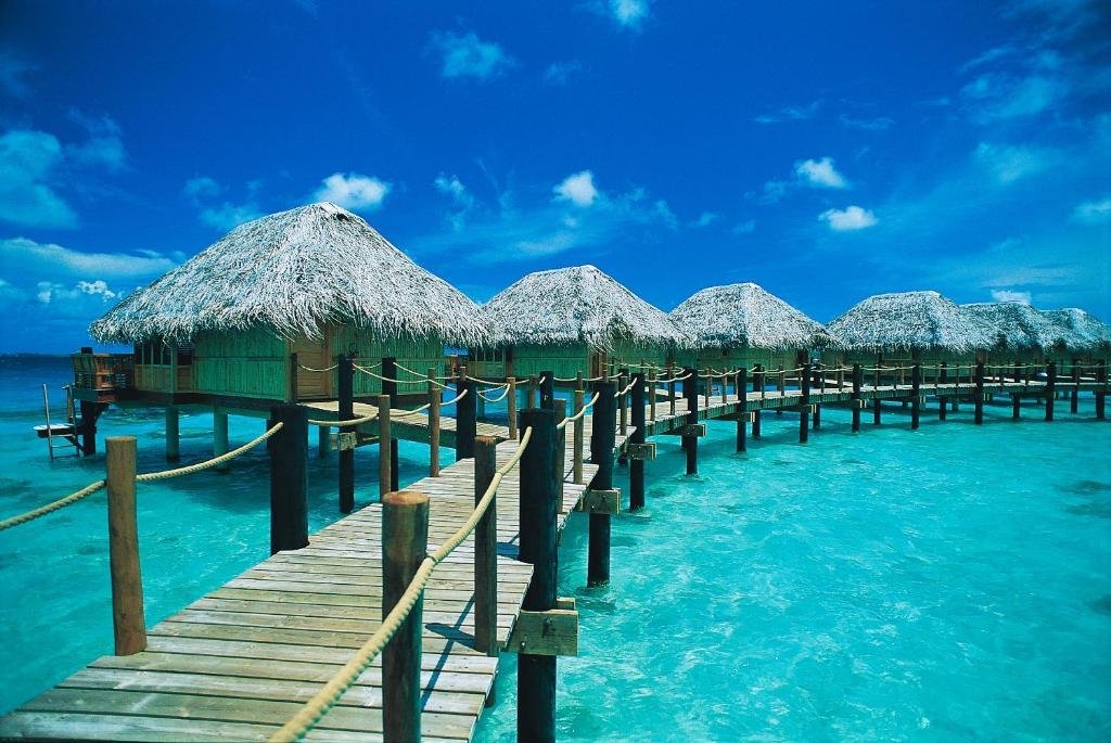 Bungalows en palapa sur pilotis en mer turquoise sous un ciel bleu