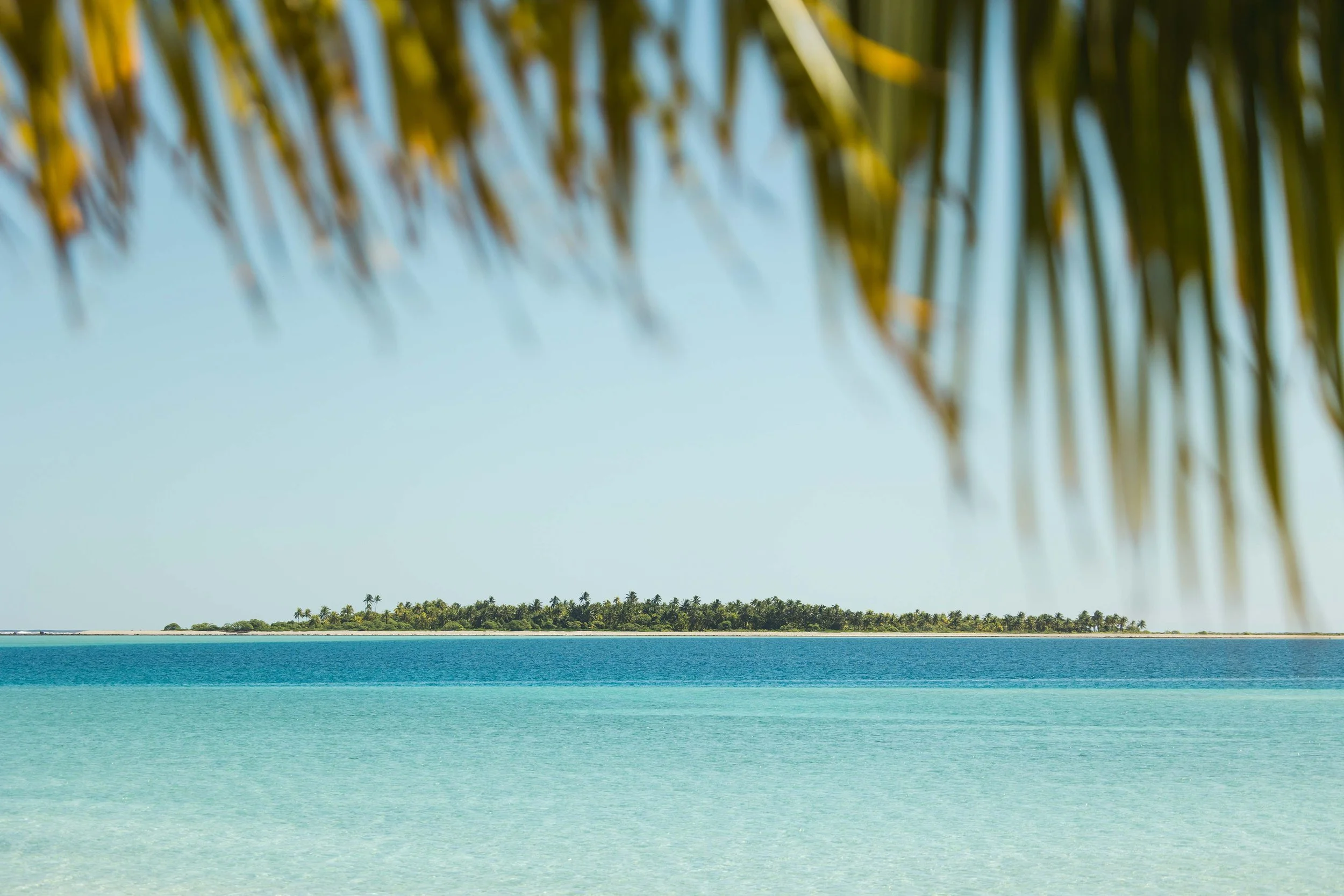 Paysage tropical avec une plage, une mer bleu turquoise et une île verte à l'horizon, vue partielle avec des feuilles de palmier en haut.