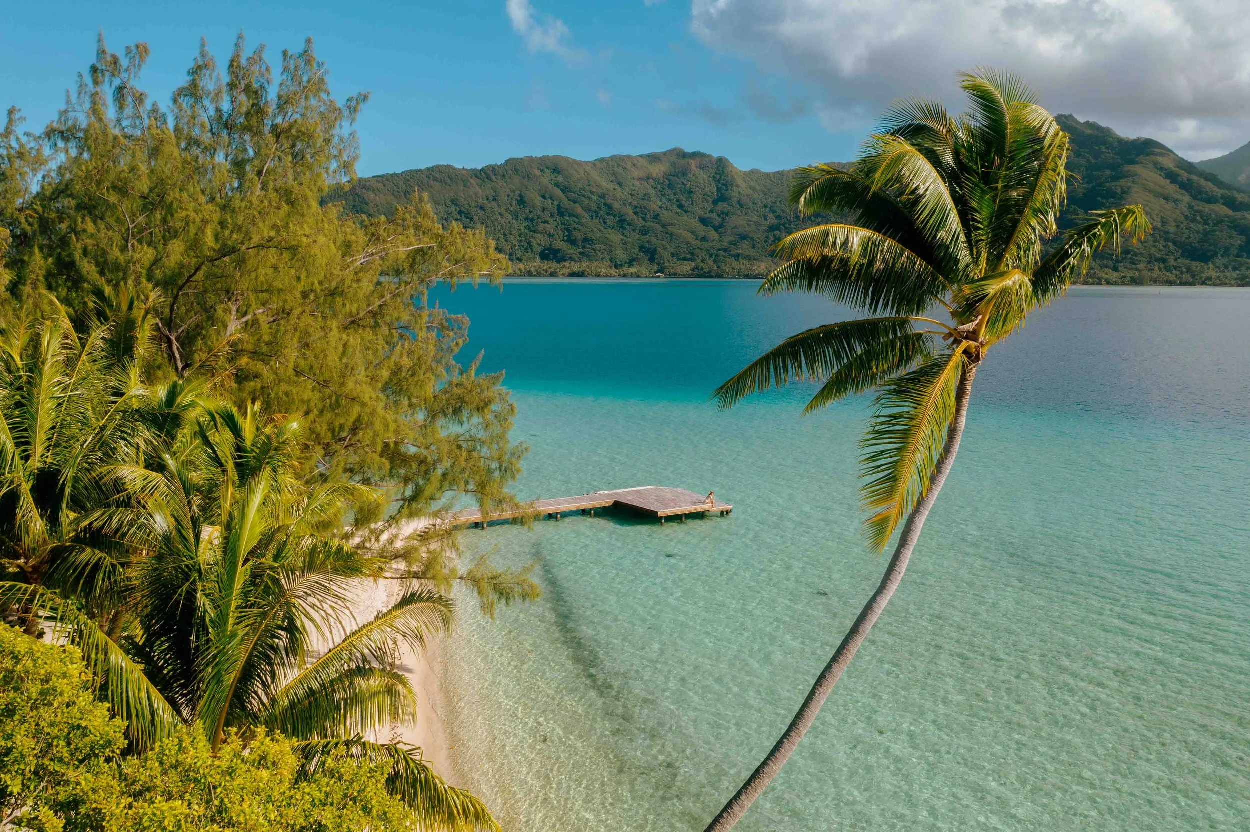 Une plage tropicale avec un palmier penché, de l'eau claire et une jetée en bois, entourée de végétation verte et de montagnes au loin.