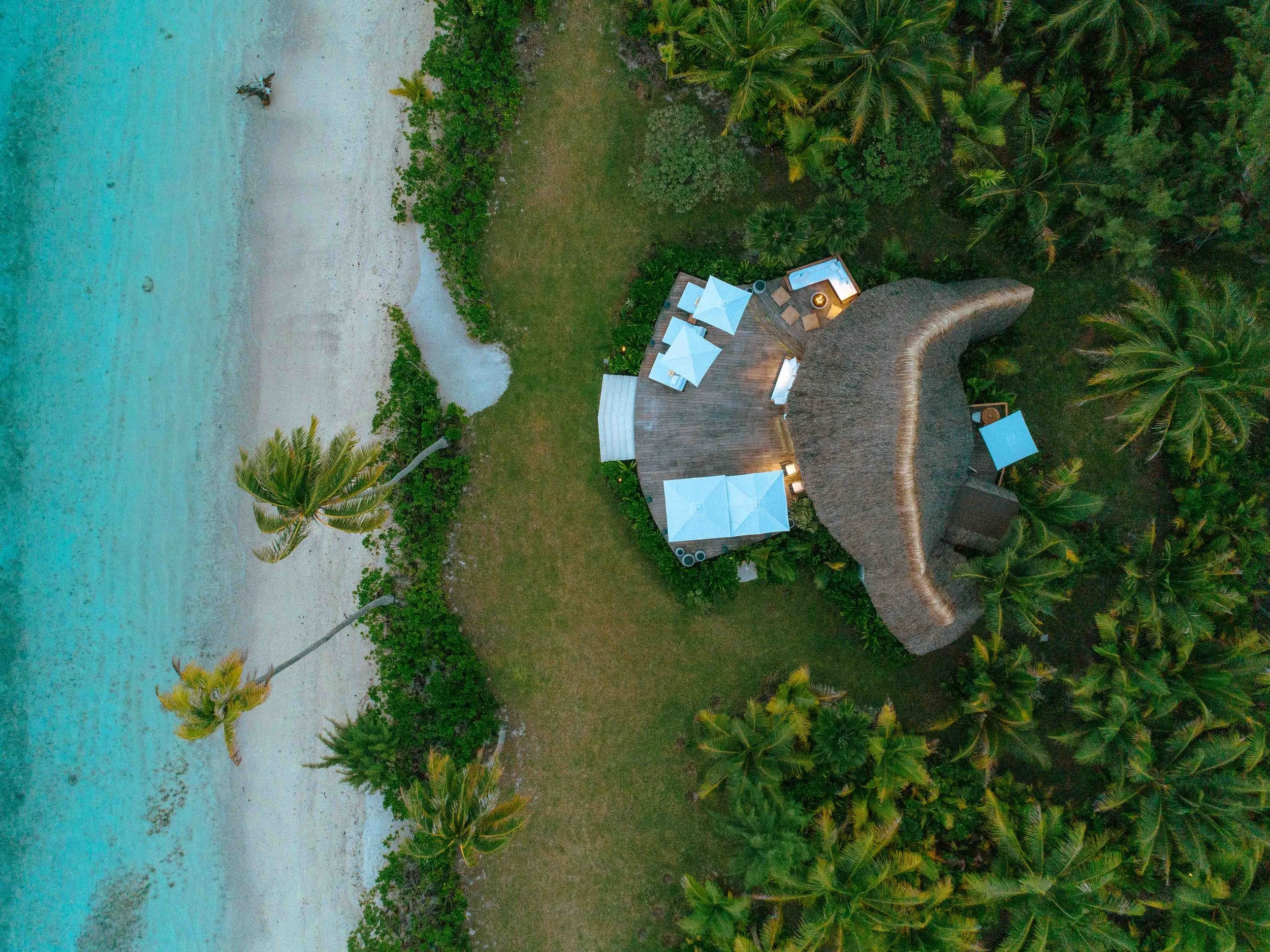 Vue aérienne d'une plage avec deux palmiers, une zone de sable blanc, et une maison en bois entourée de végétation tropicale, avec des parasols et des meubles extérieurs.