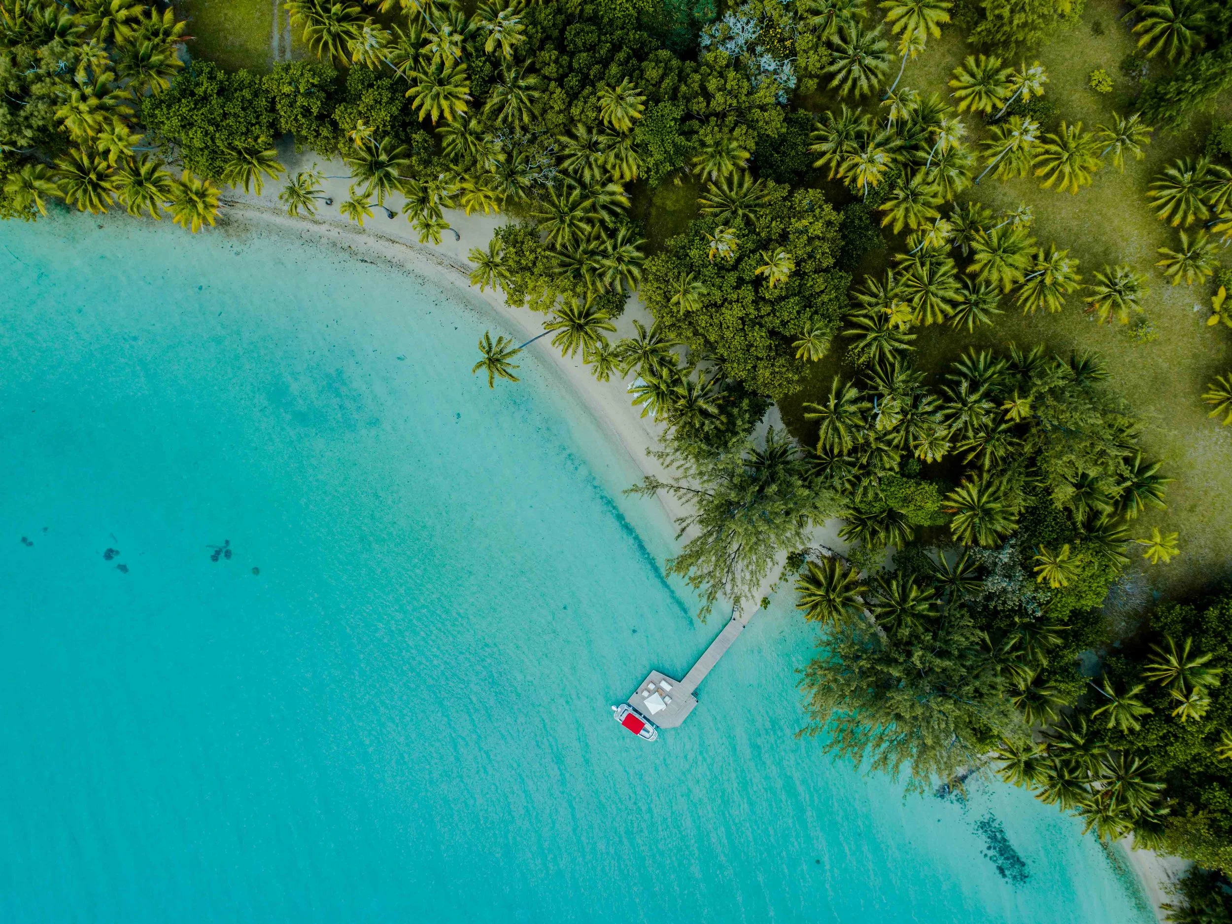 Vue aérienne d'une plage bordée de palmiers avec un pont en bois menant à un petit kiosque ou plateforme flottante sur l'eau turquoise.
